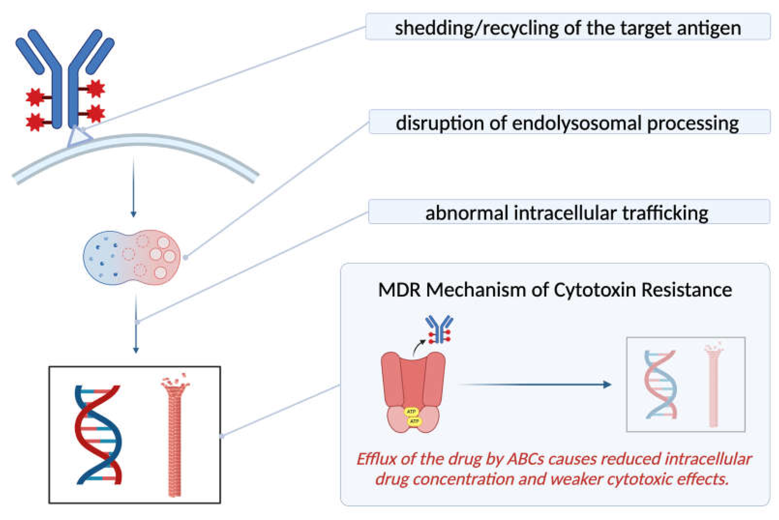Cancers 17 00958 g005