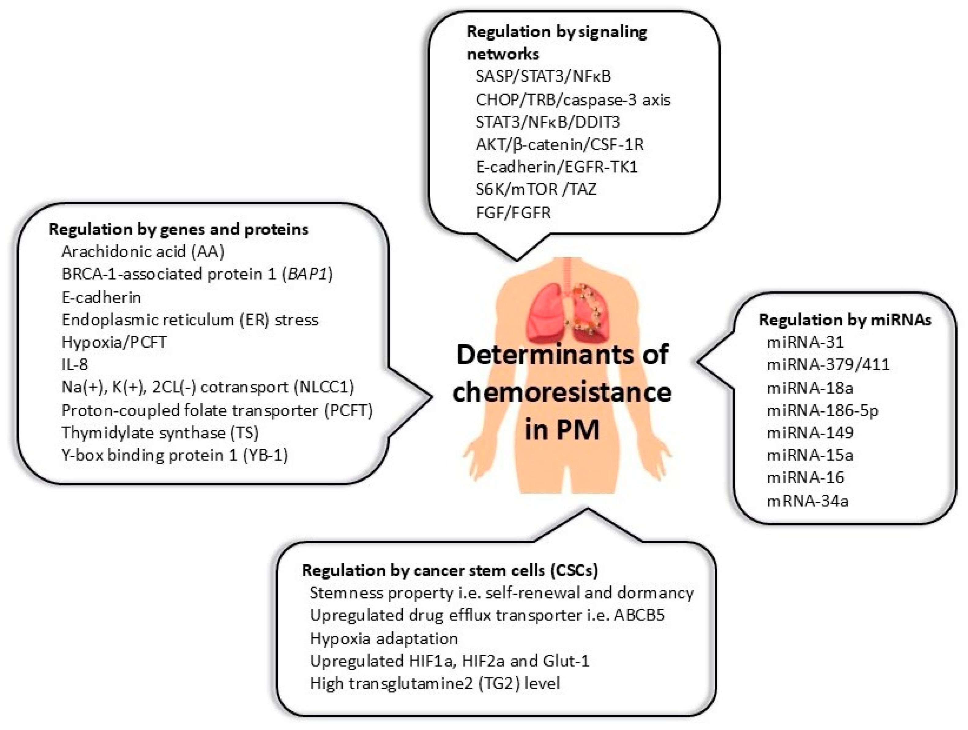 Cancers 17 00979 g001
