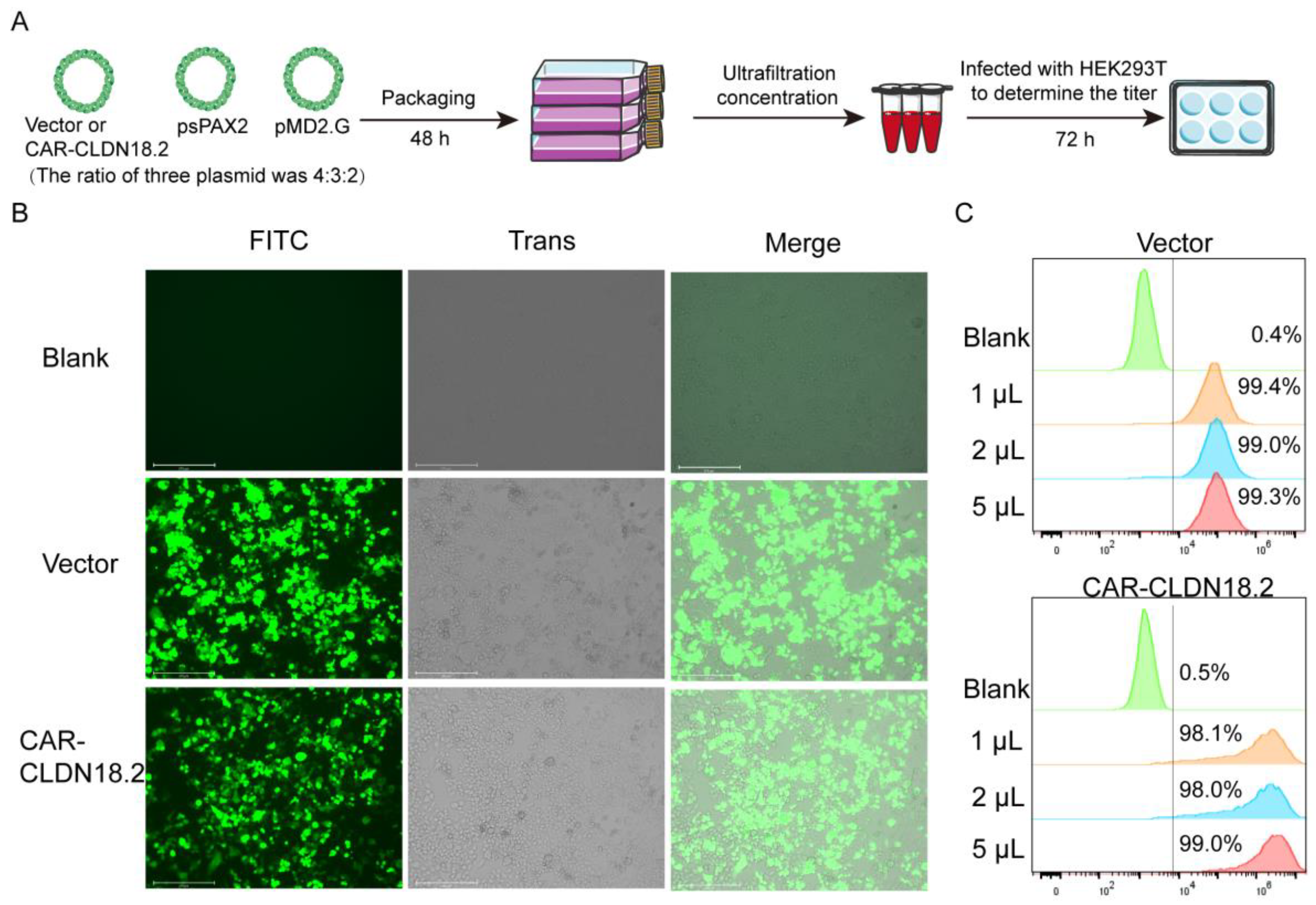 Cancers 17 00998 g002