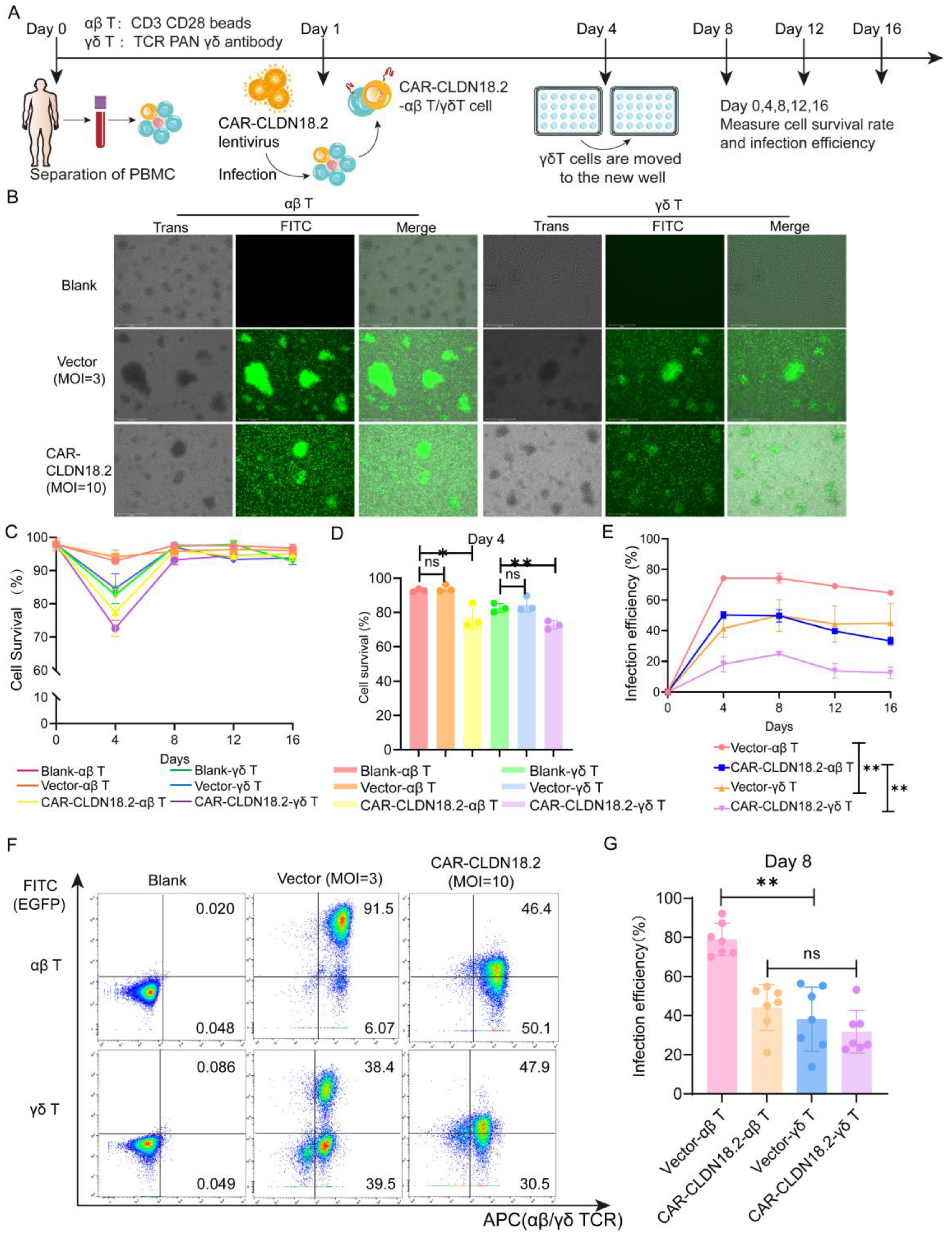 Cancers 17 00998 g003