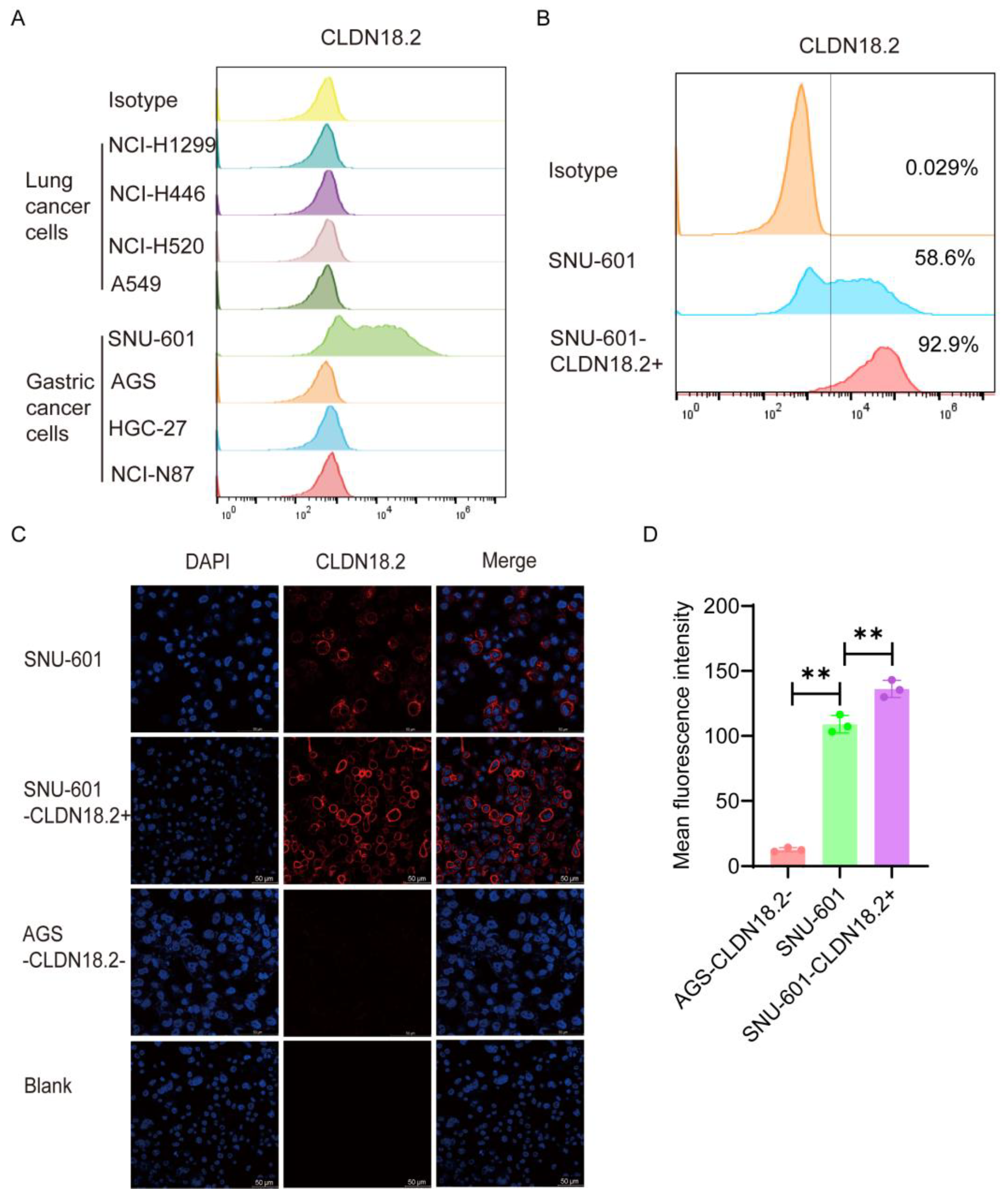 Cancers 17 00998 g004