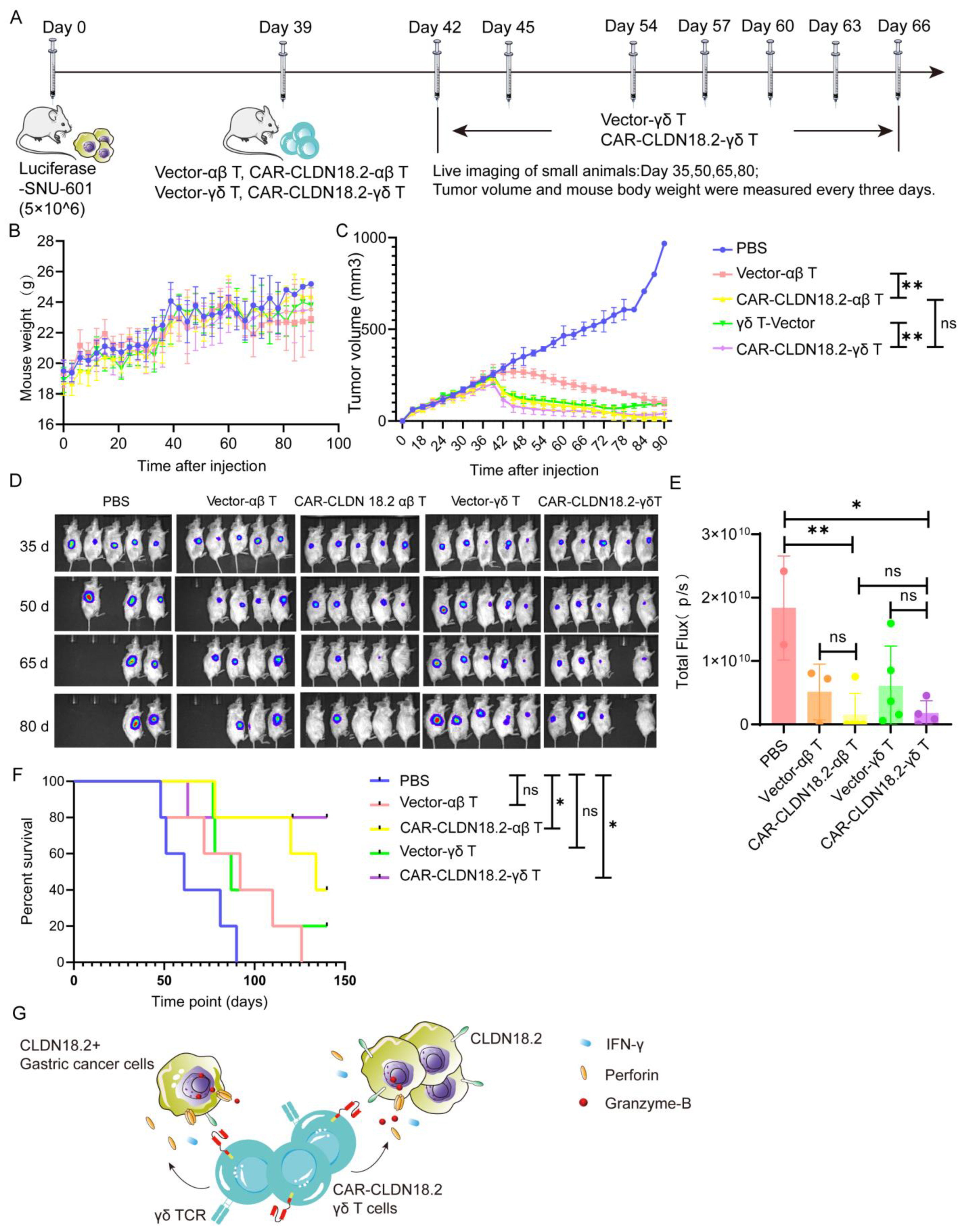 Cancers 17 00998 g006