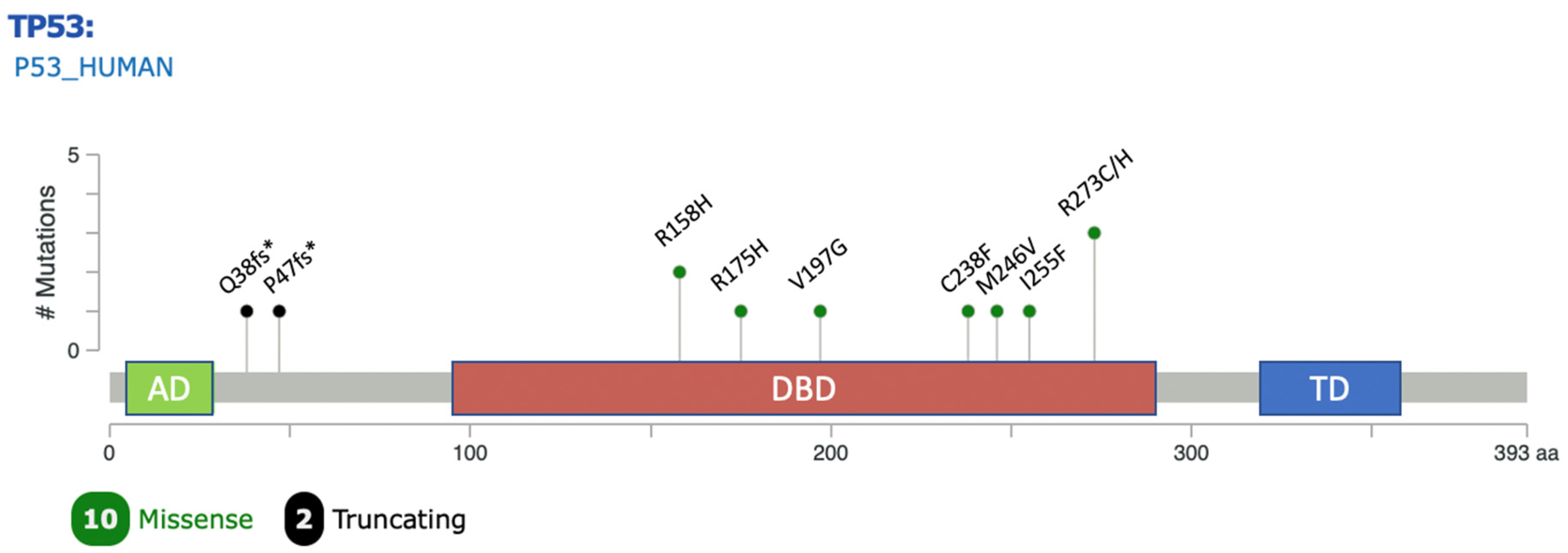 Cancers 17 01004 g002