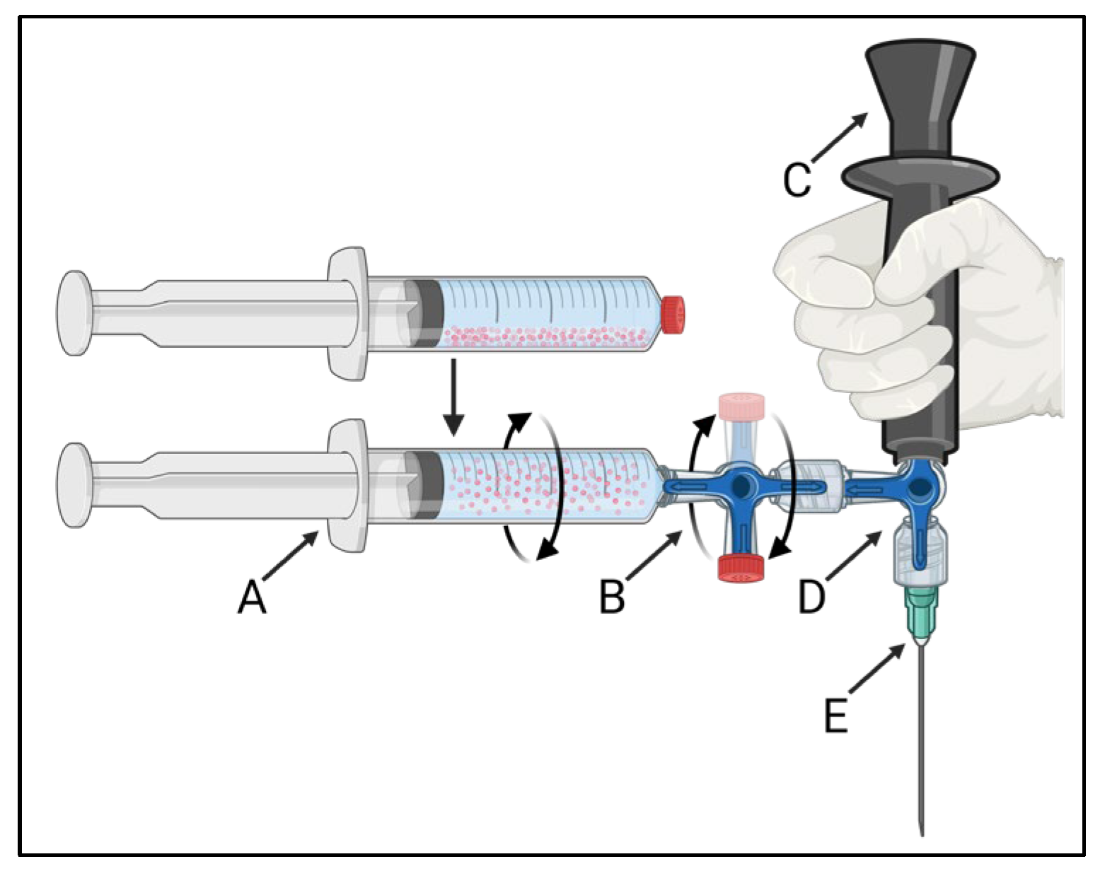Cancers 17 01028 g001