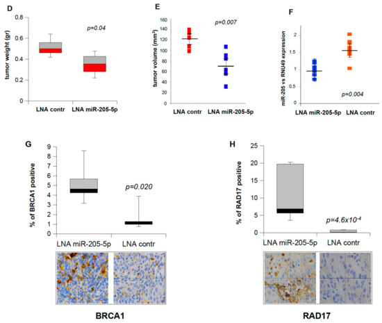 Cancers 17 01089 g005b