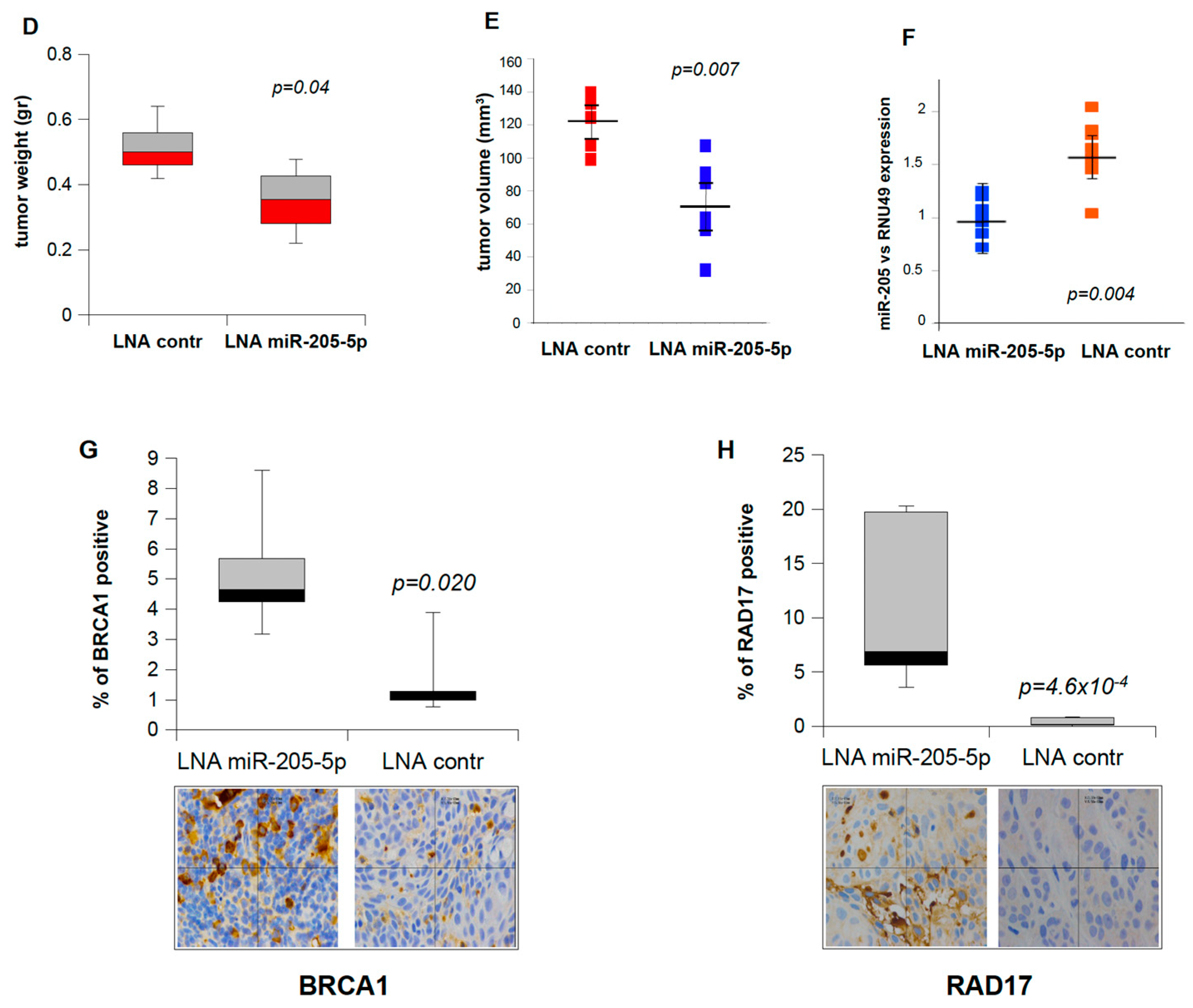 Cancers 17 01089 g005b