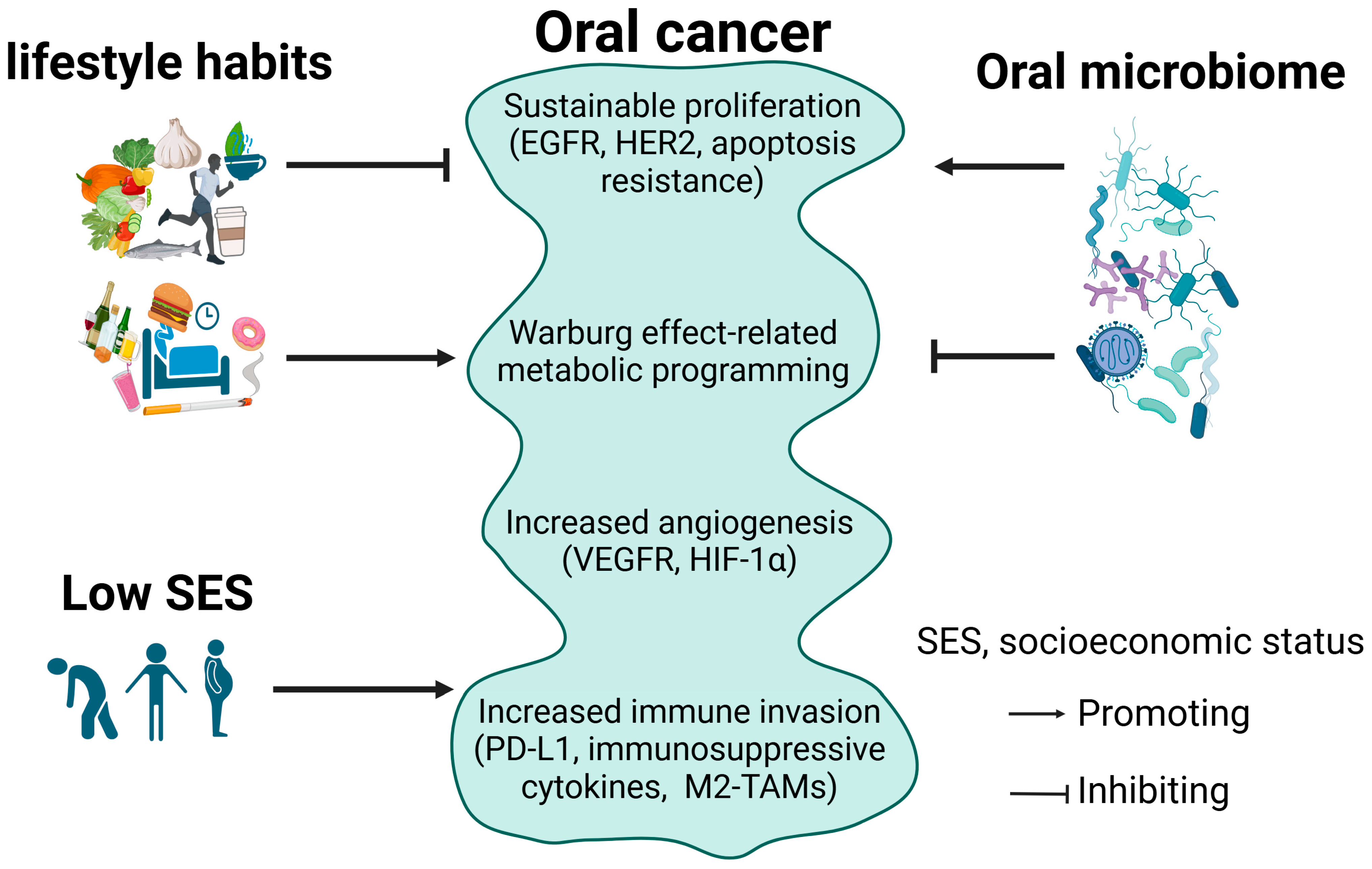 Cancers 17 01094 g001