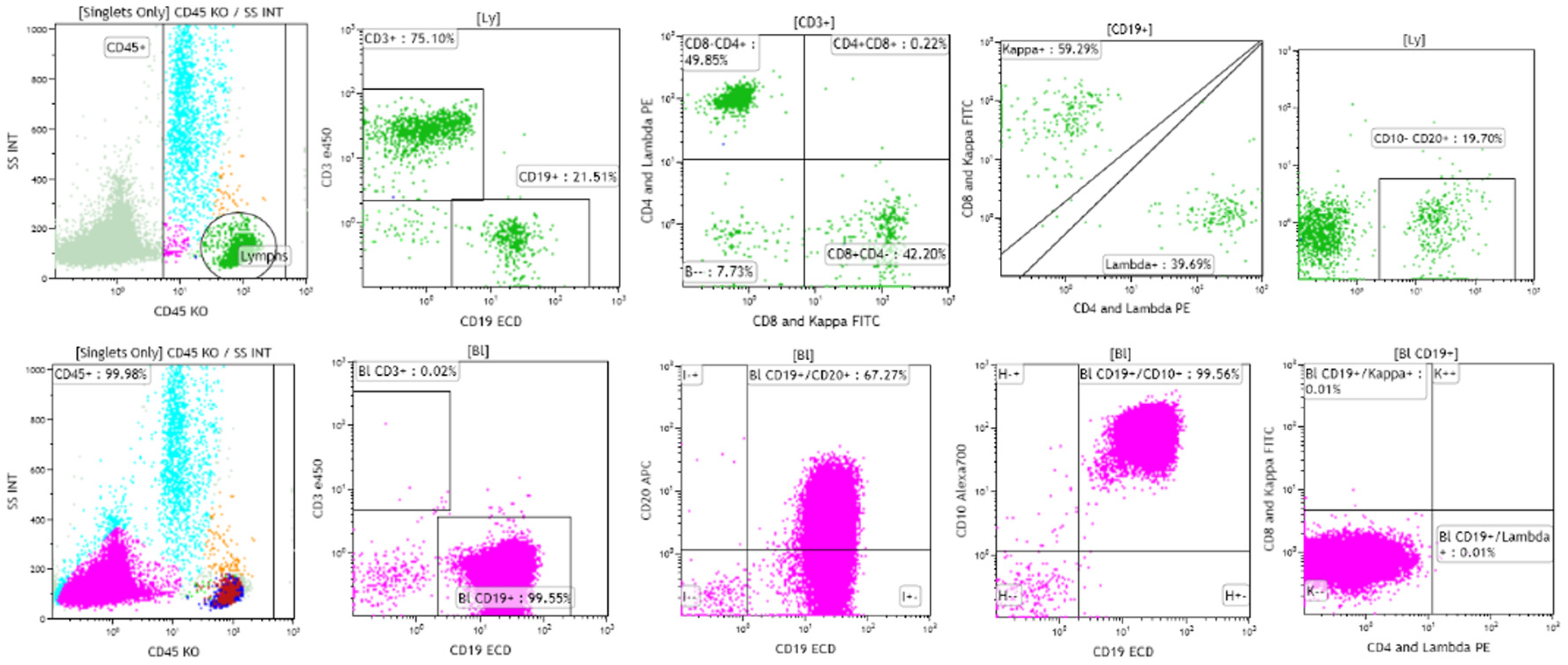Cancers 17 01111 g002