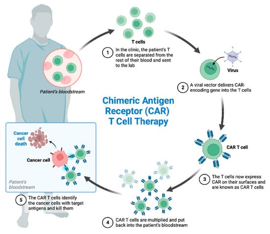 Cancers 17 01125 g005