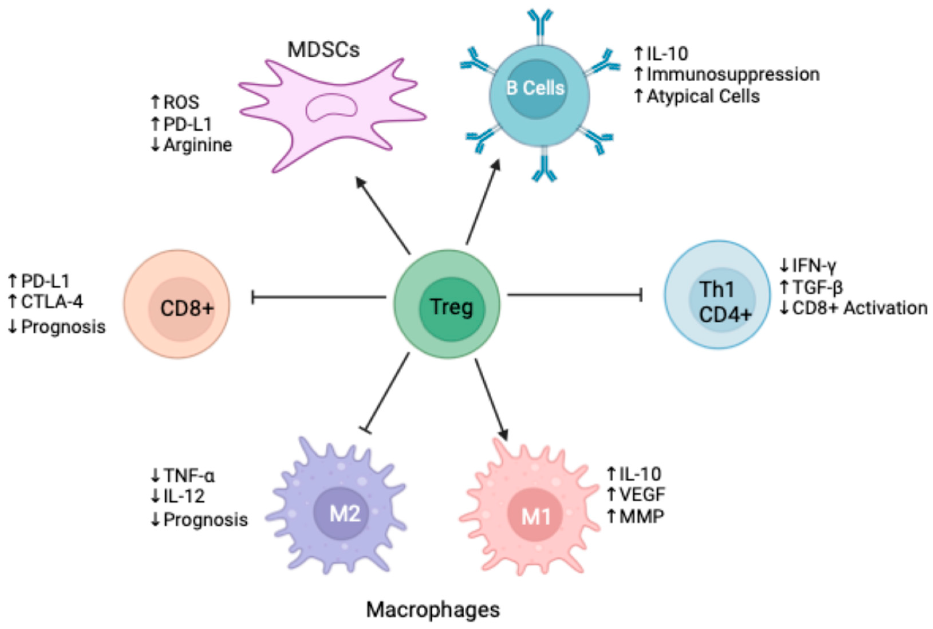 Cancers 17 01135 g002