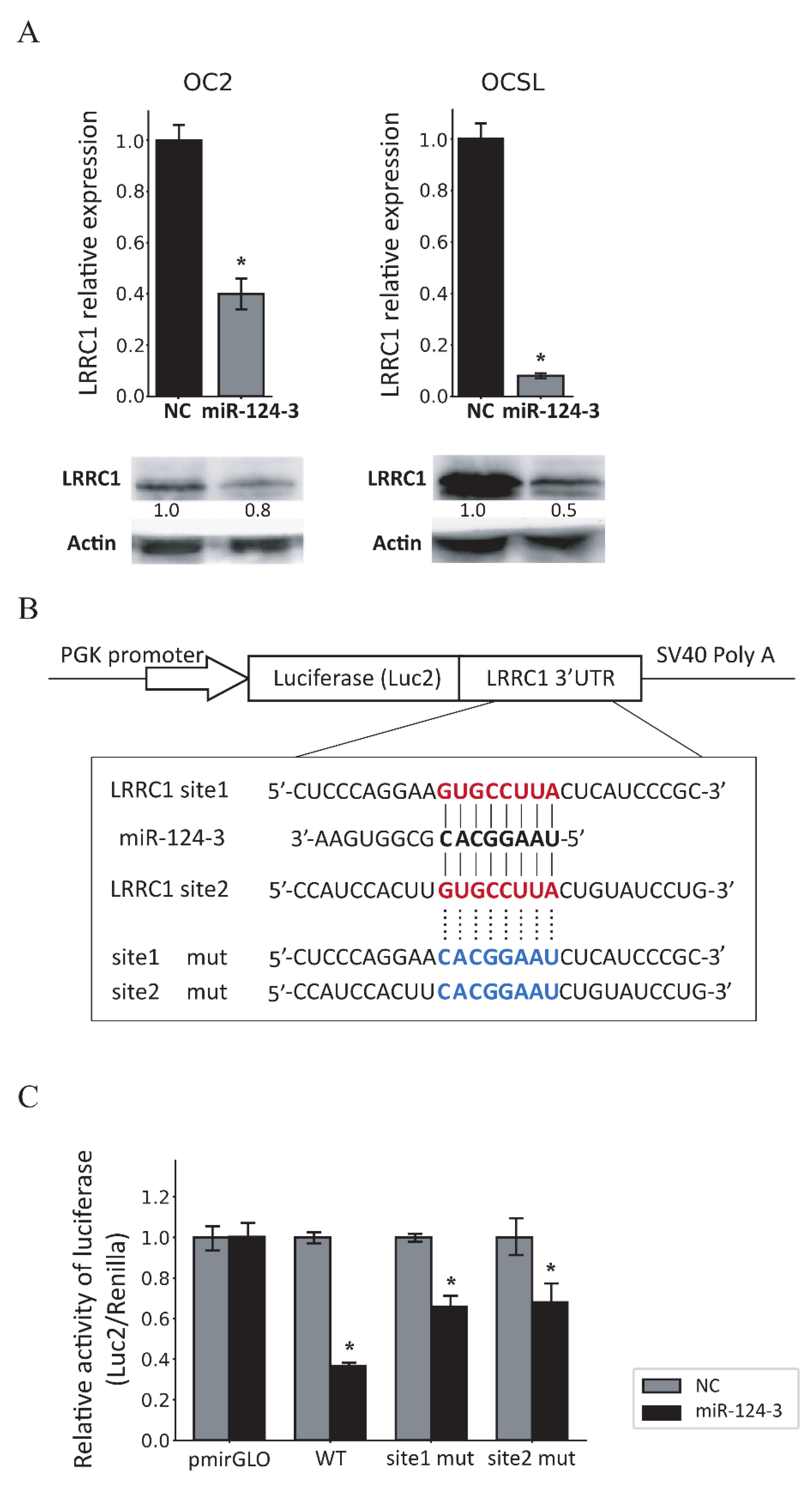 Cancers 17 01136 g004