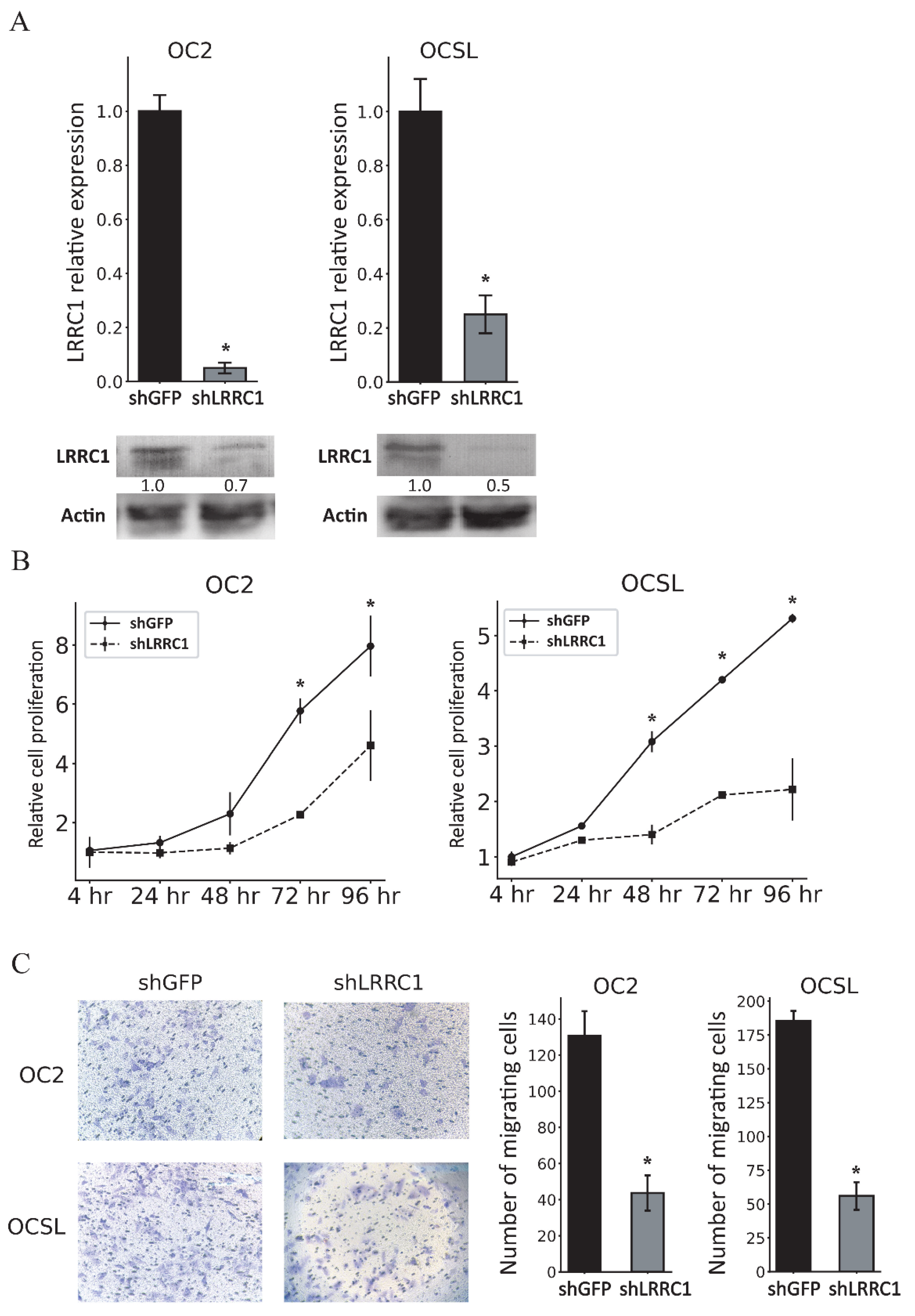 Cancers 17 01136 g005