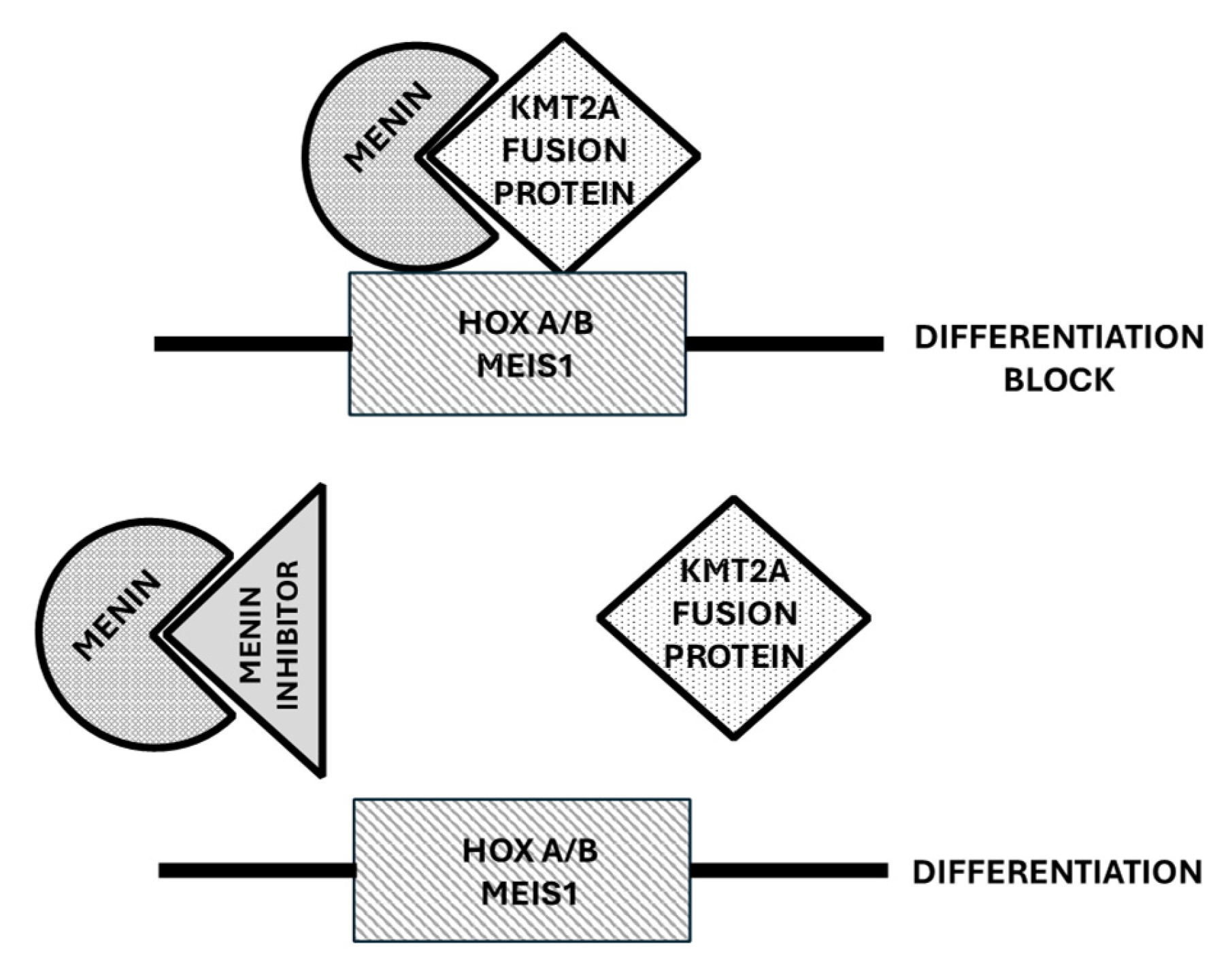 Cancers 17 01141 g003