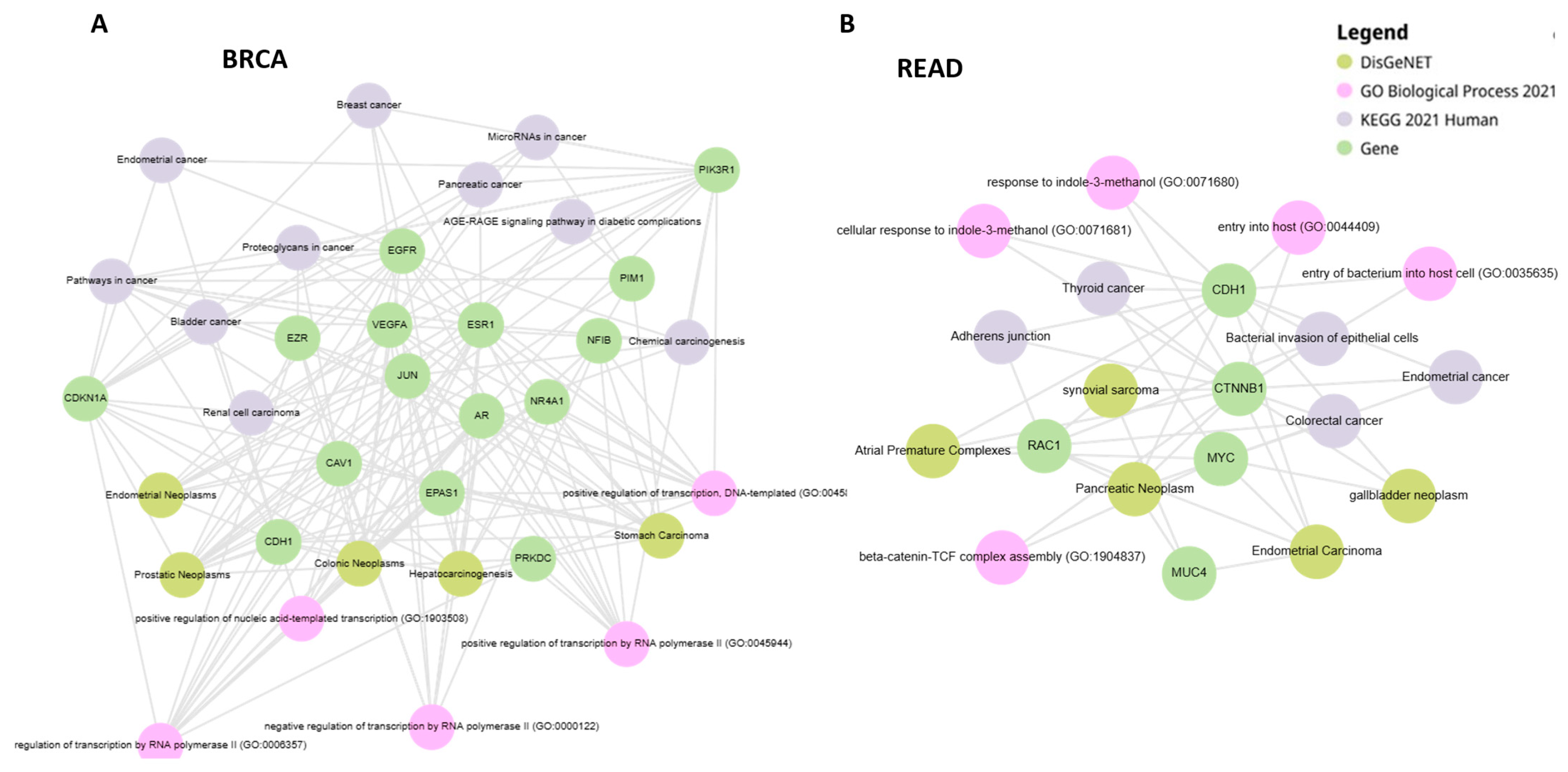 Cancers 17 01144 g003