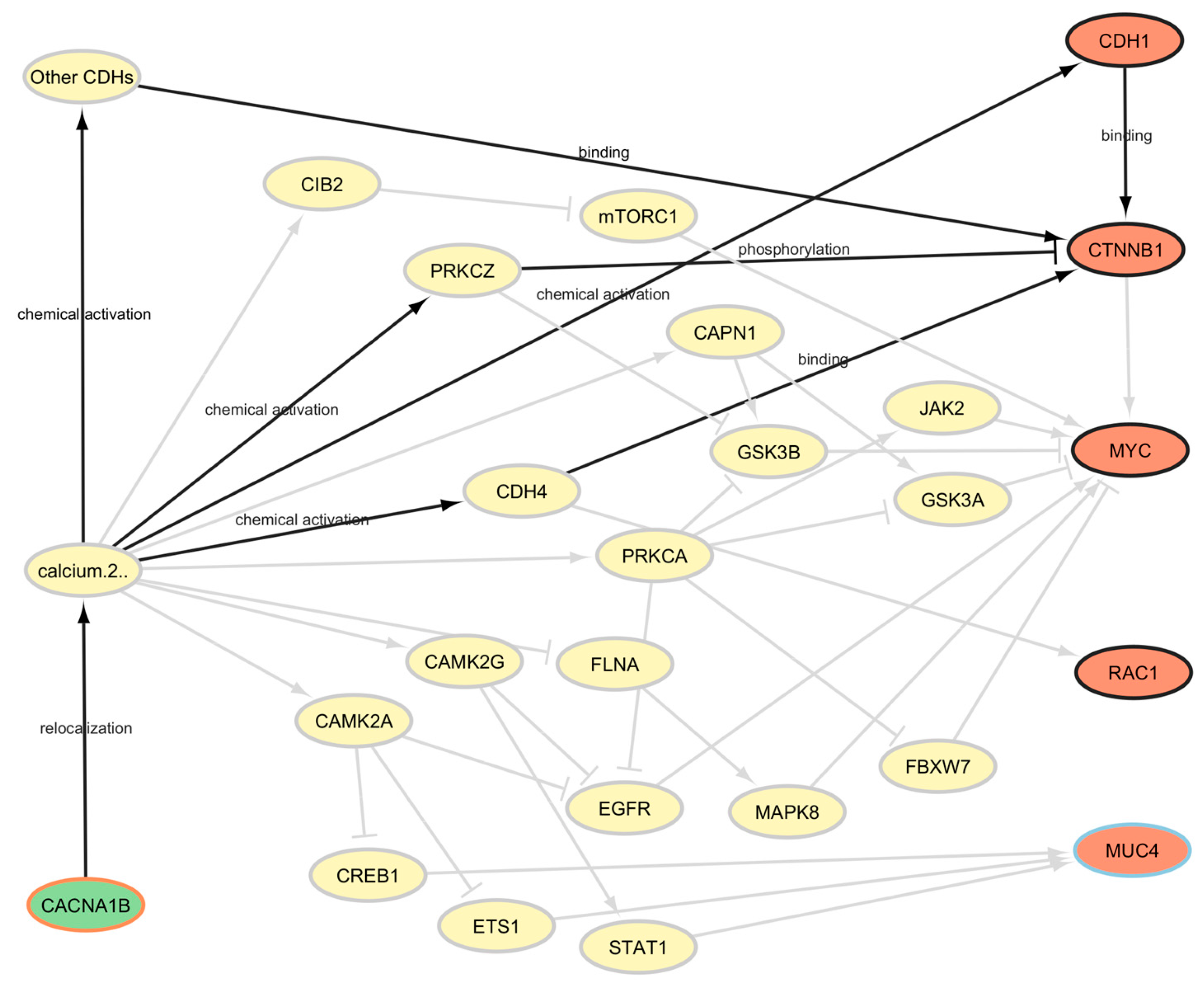 Cancers 17 01144 g005