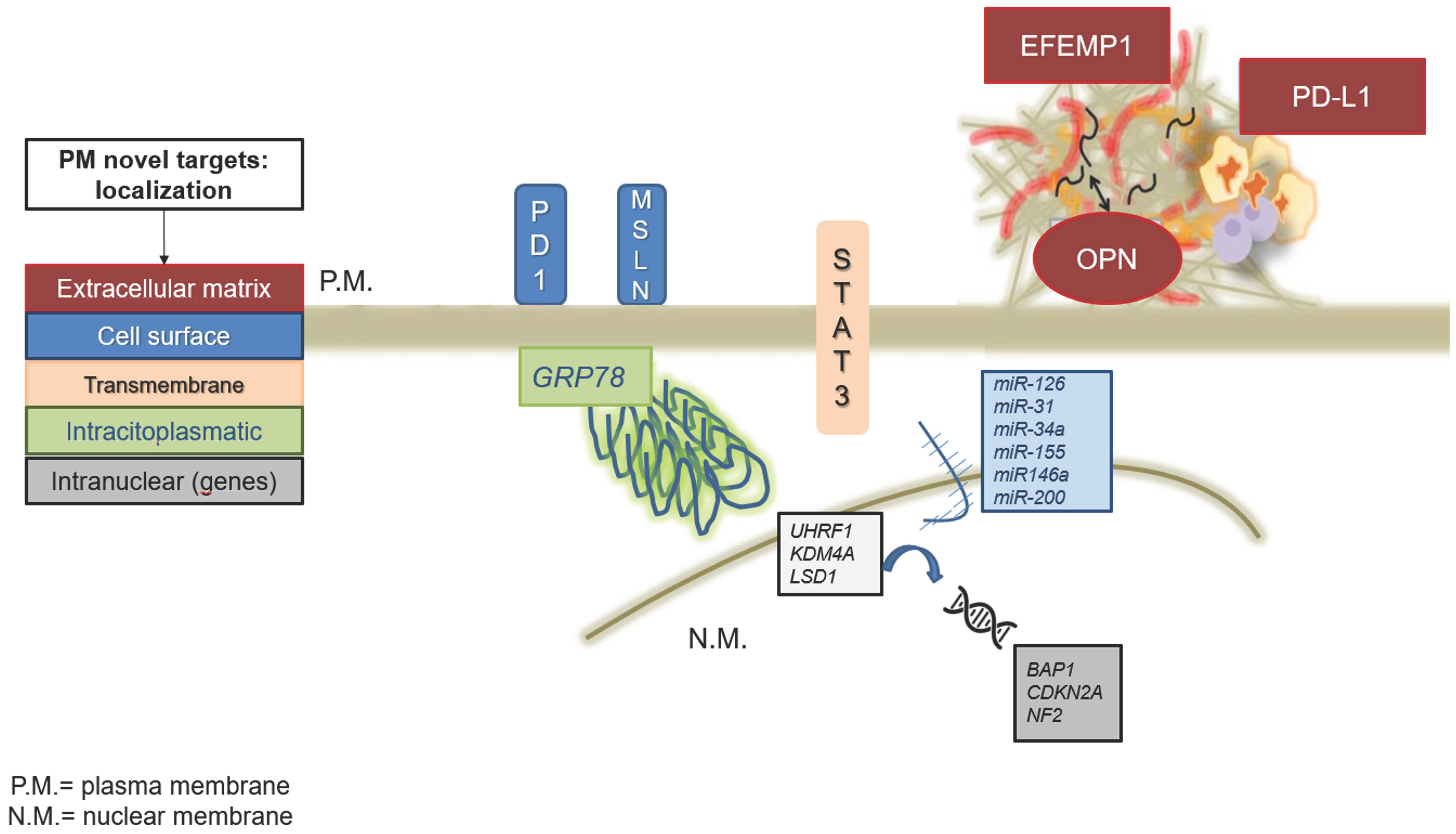 Cancers 17 01160 g001