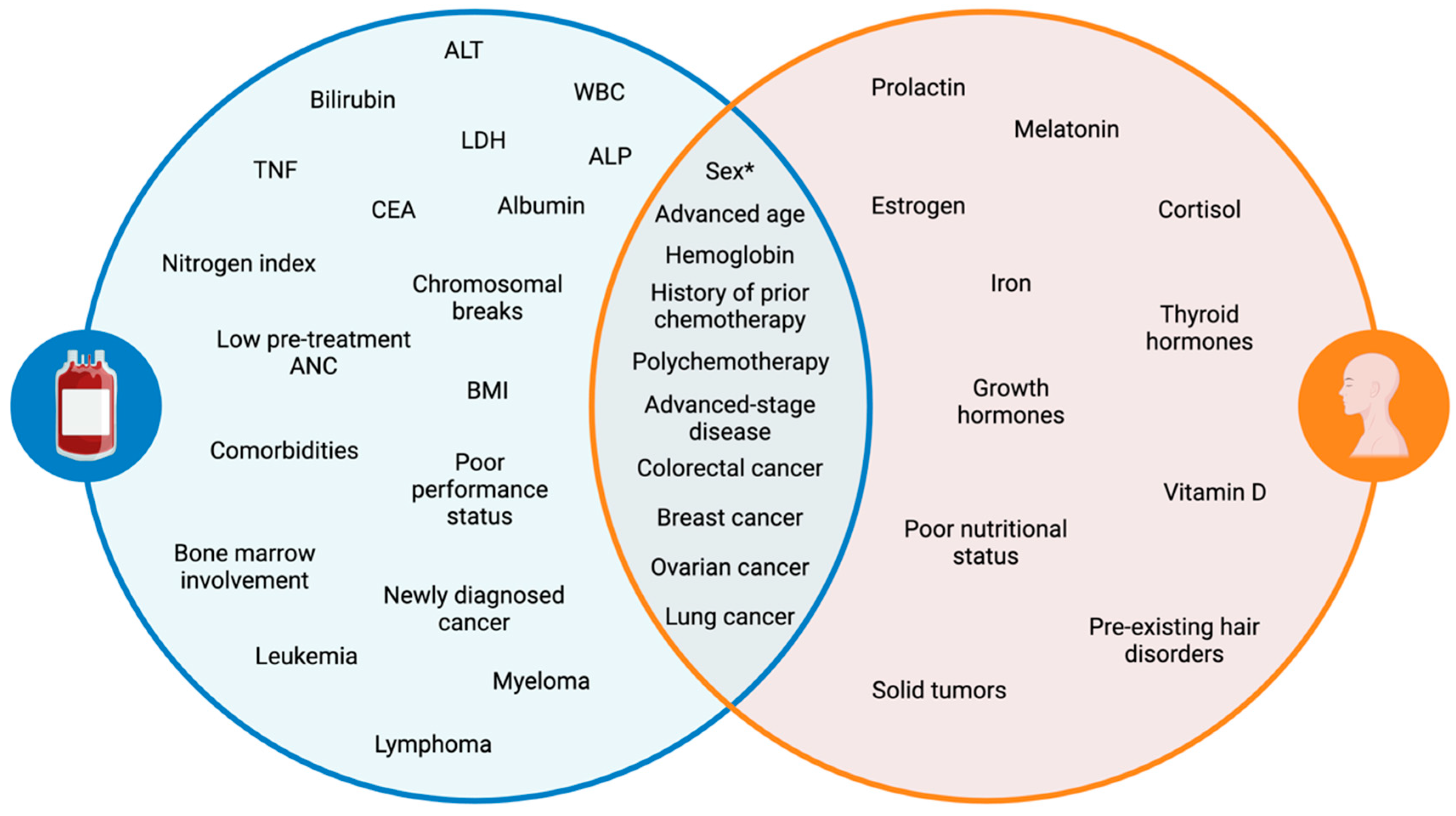 Cancers 17 01163 g001
