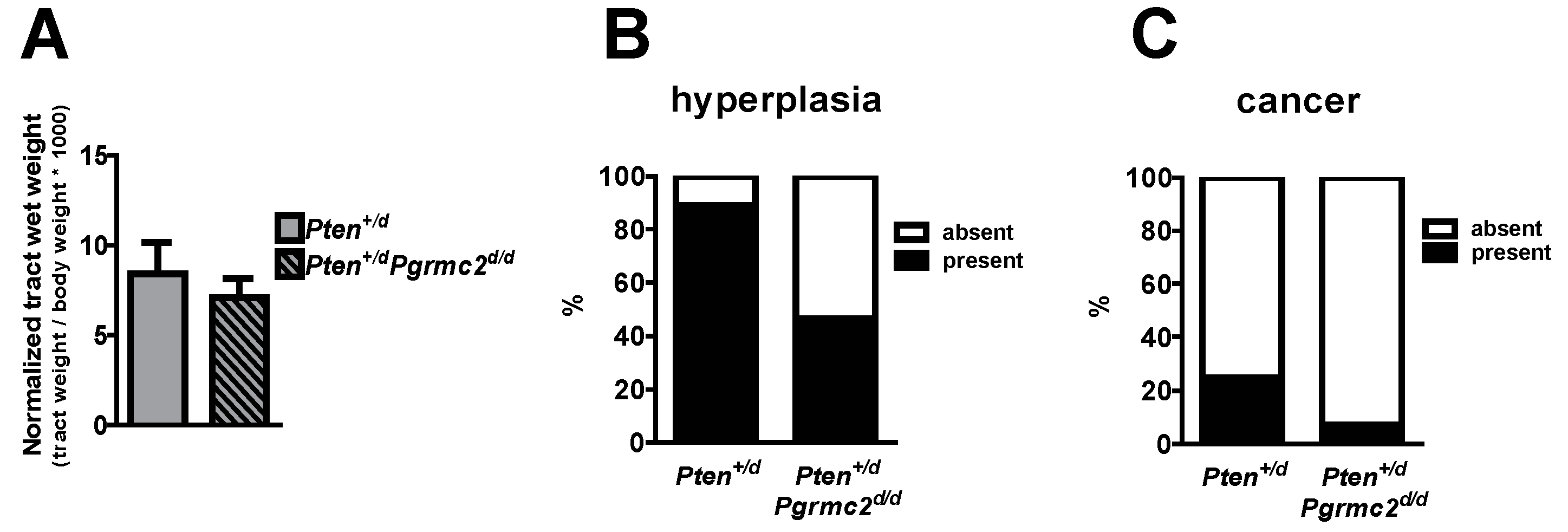 Cancers 17 01178 g003