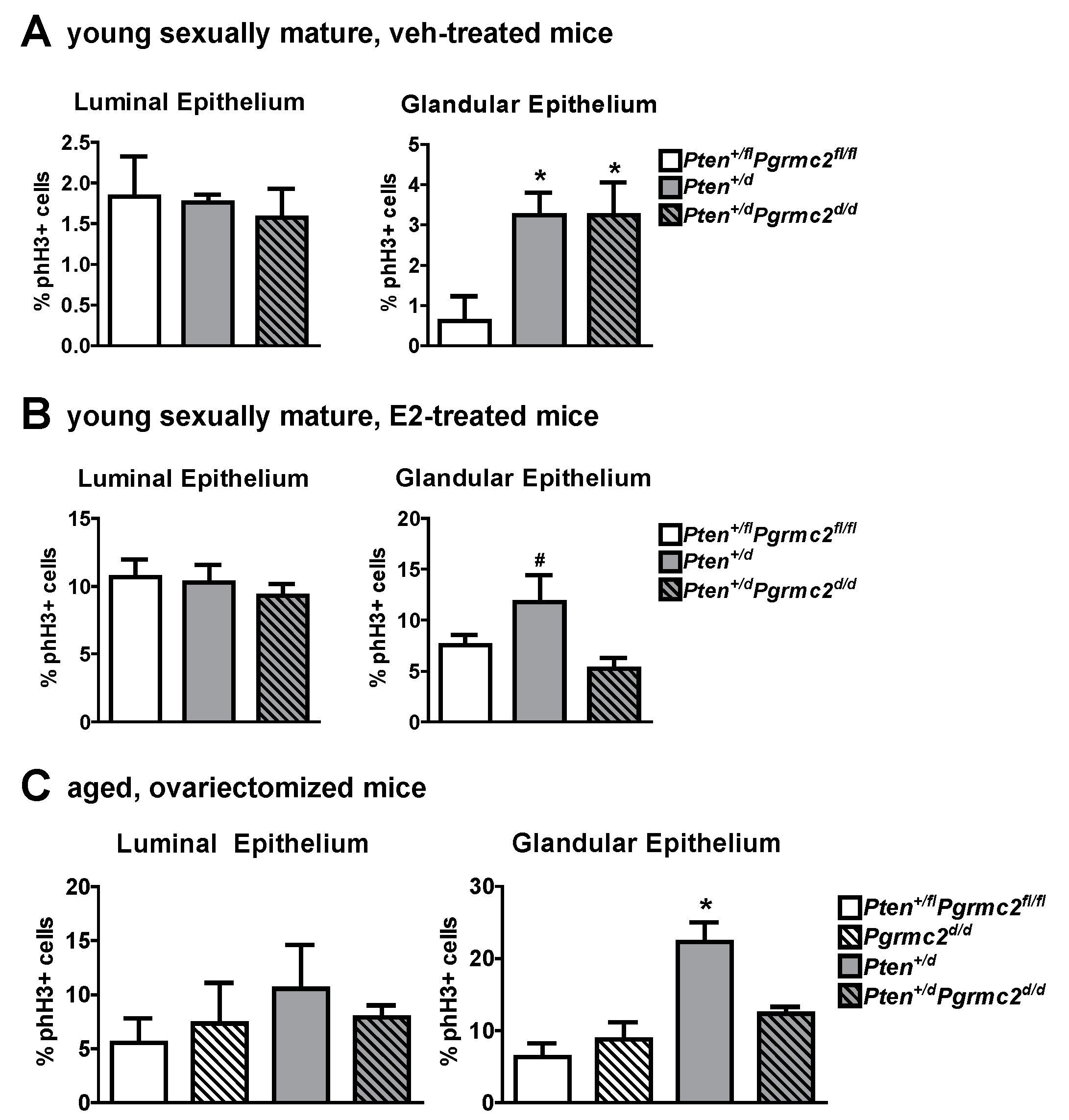 Cancers 17 01178 g006