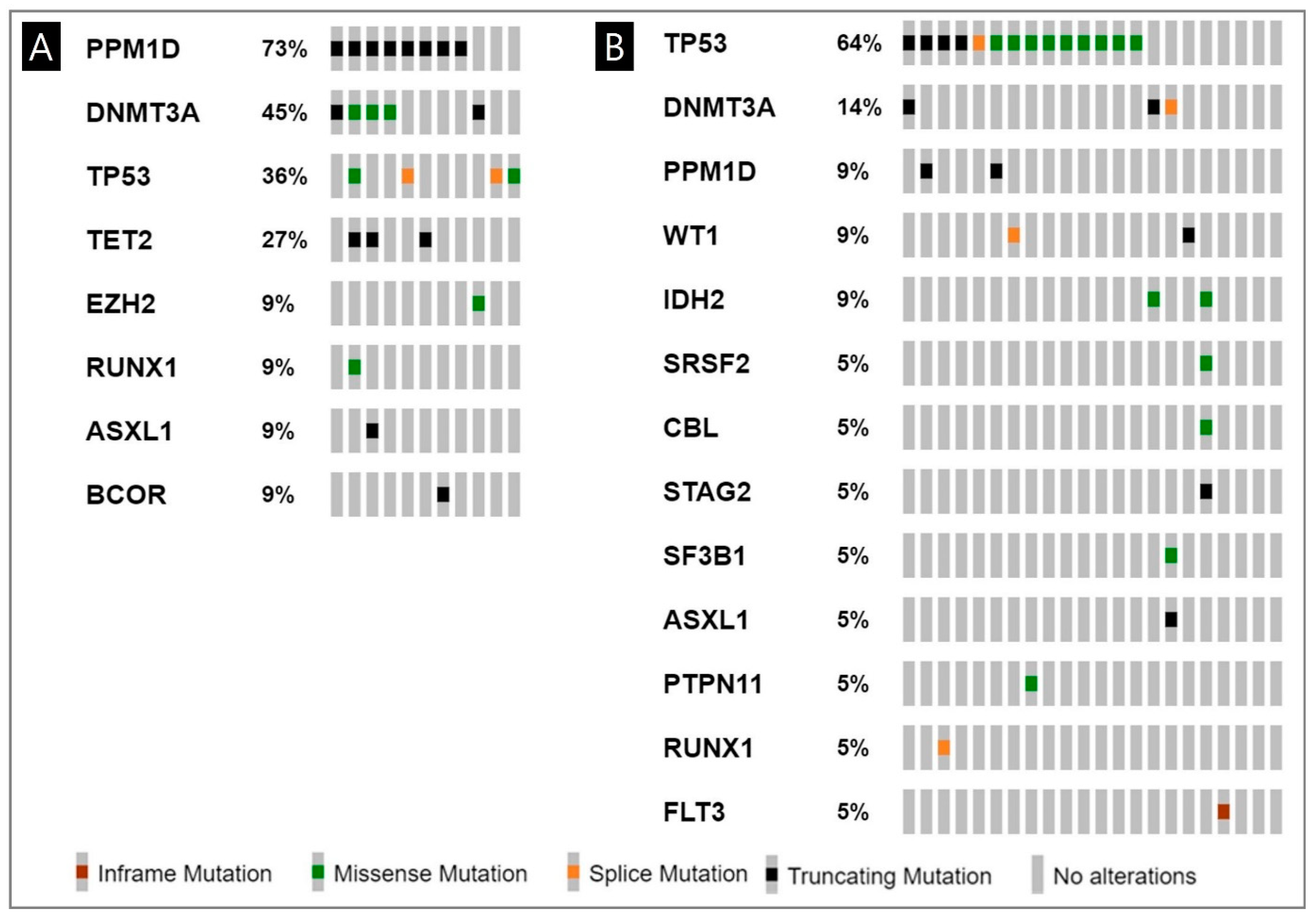 Cancers 17 01185 g001