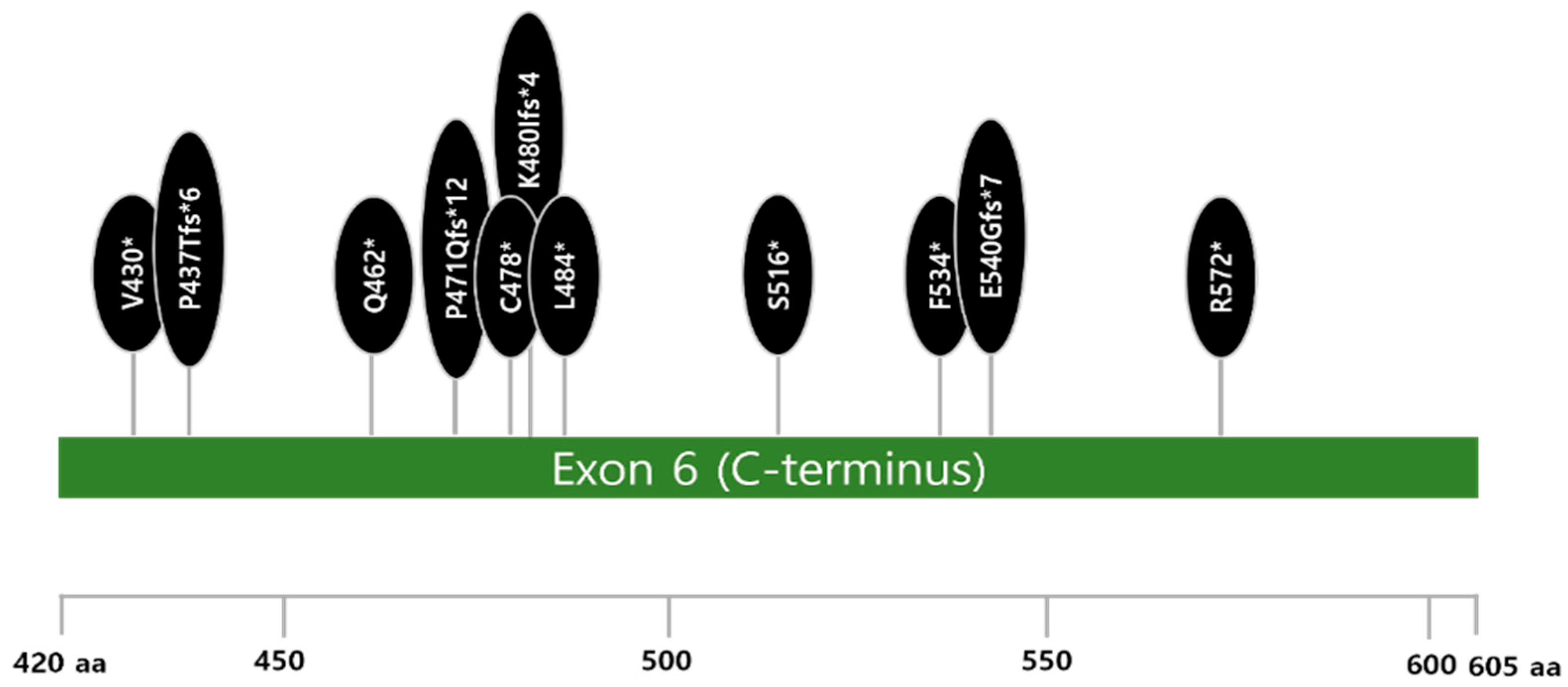 Cancers 17 01185 g002