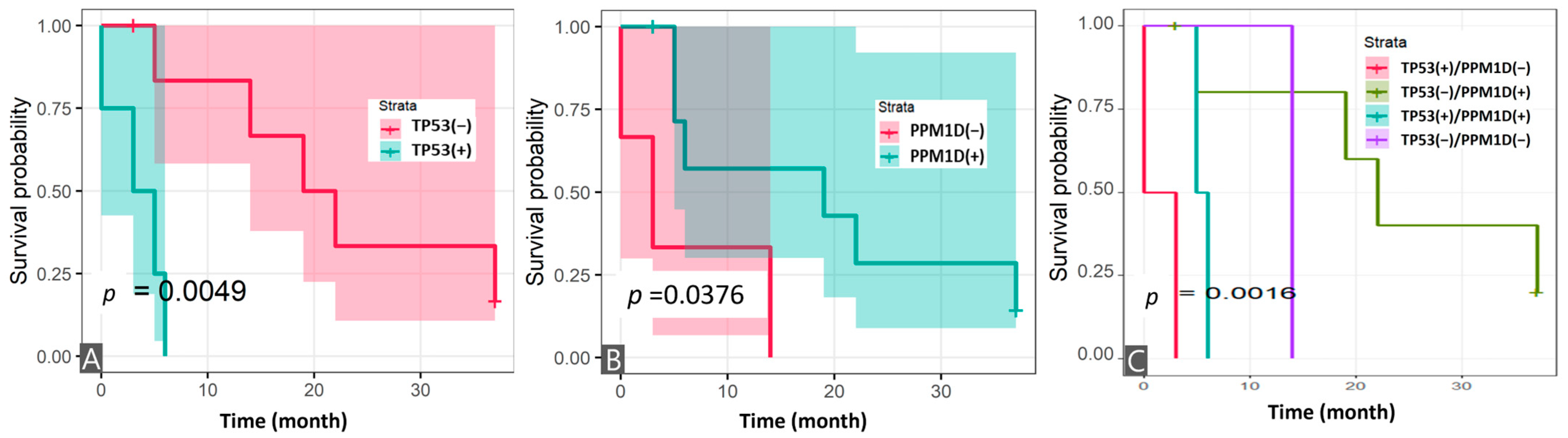 Cancers 17 01185 g005