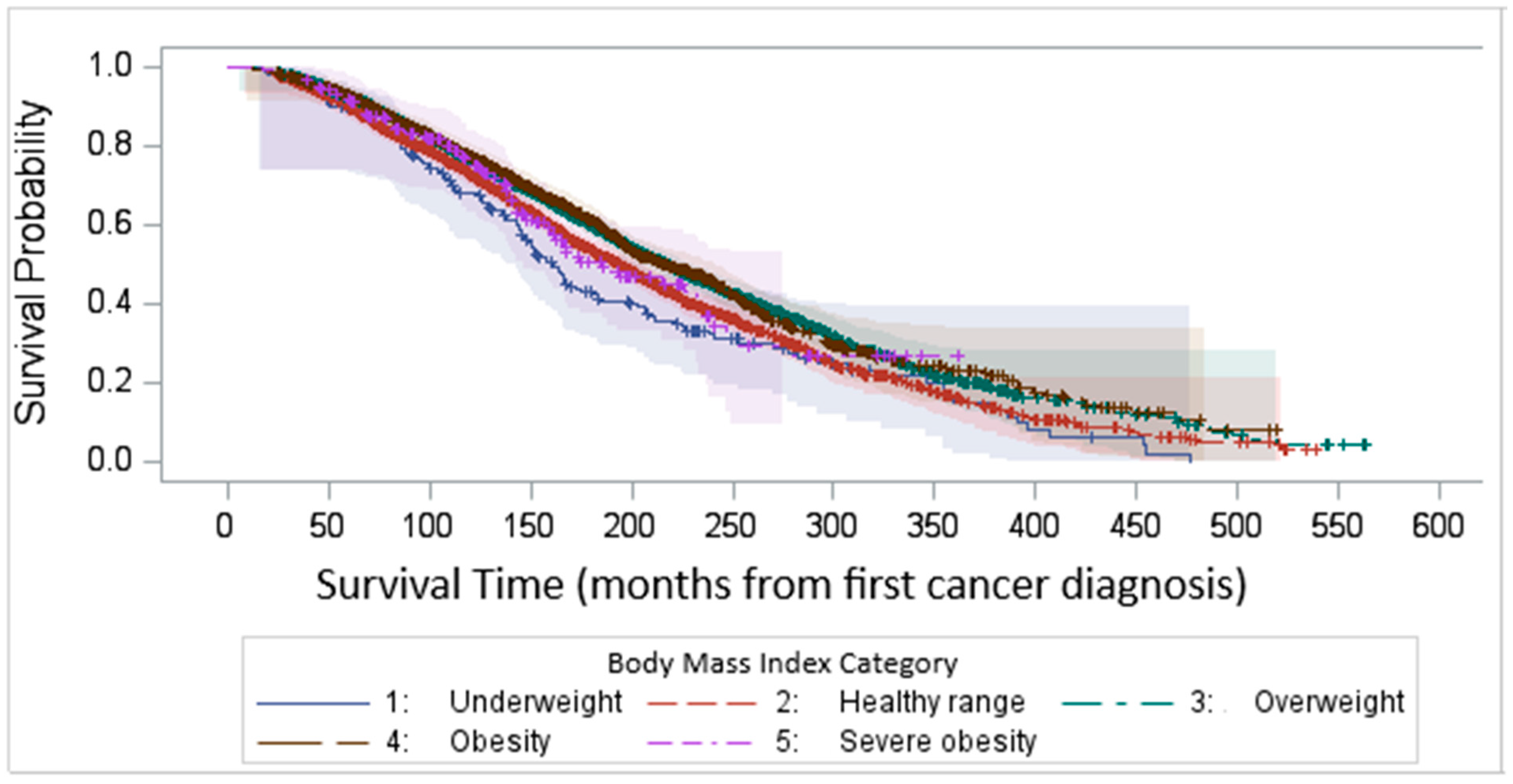 Cancers 17 01200 g005
