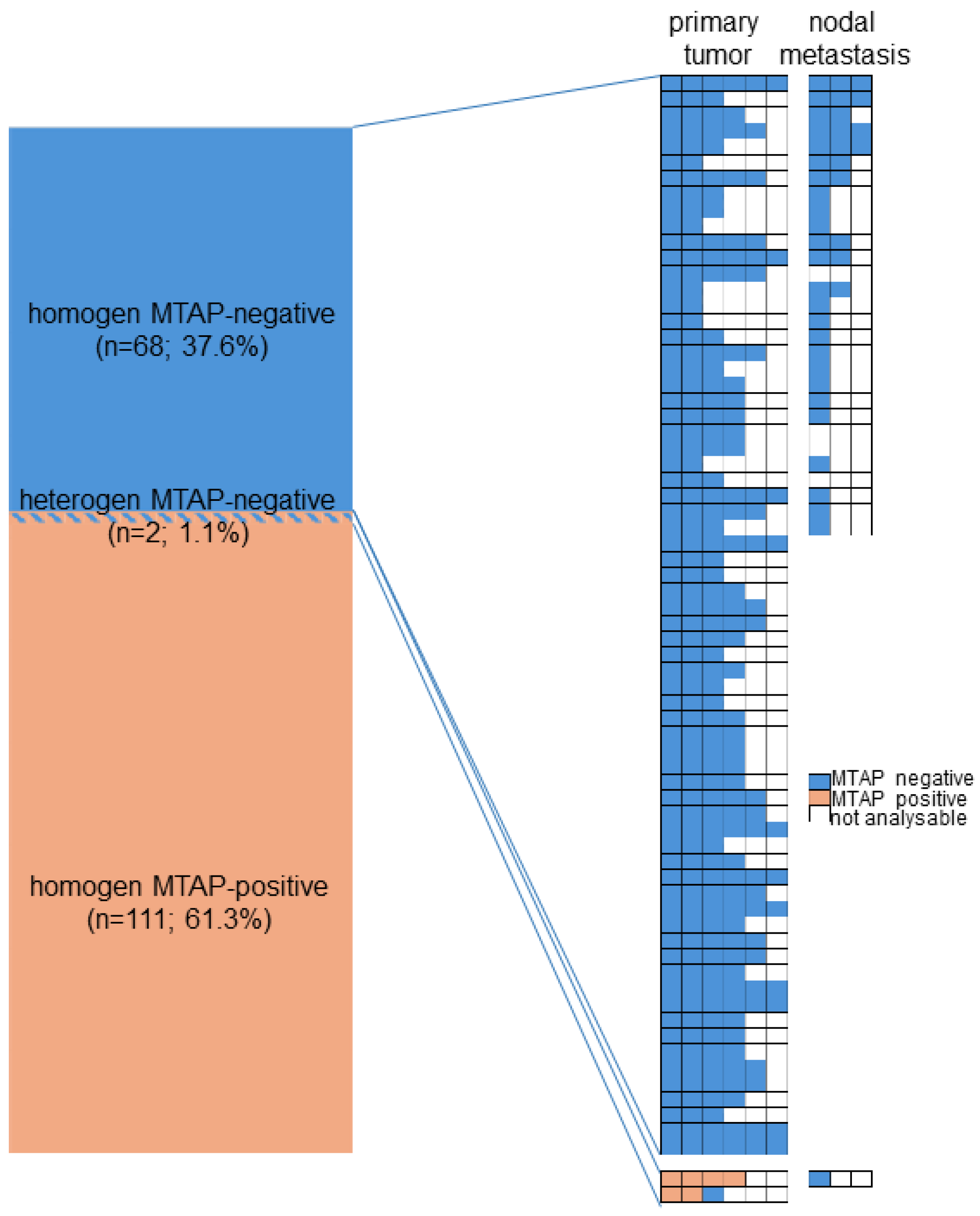 Cancers 17 01205 g002