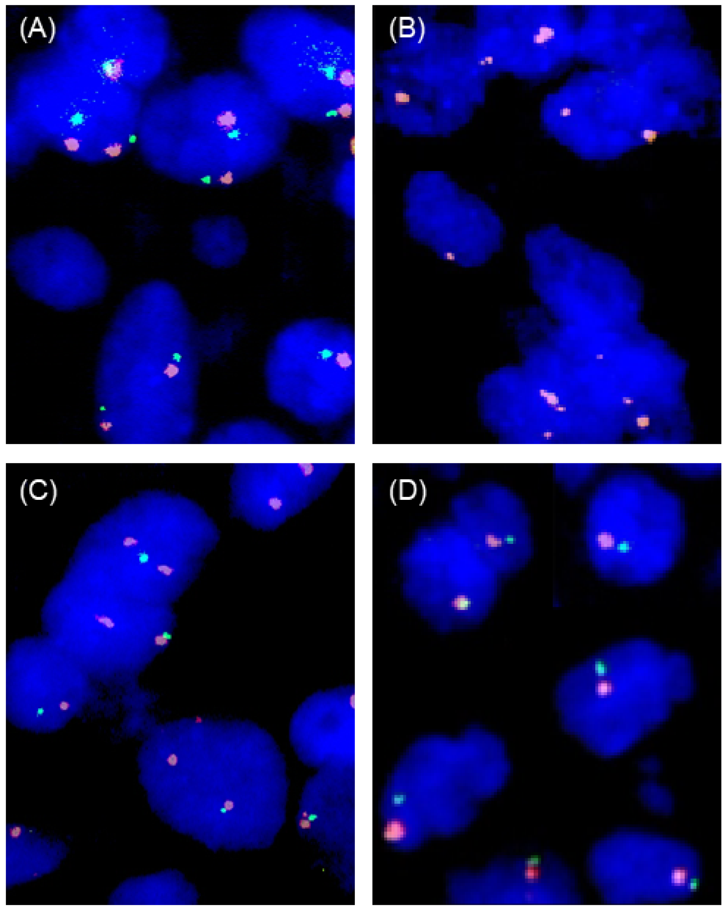Cancers 17 01205 g005