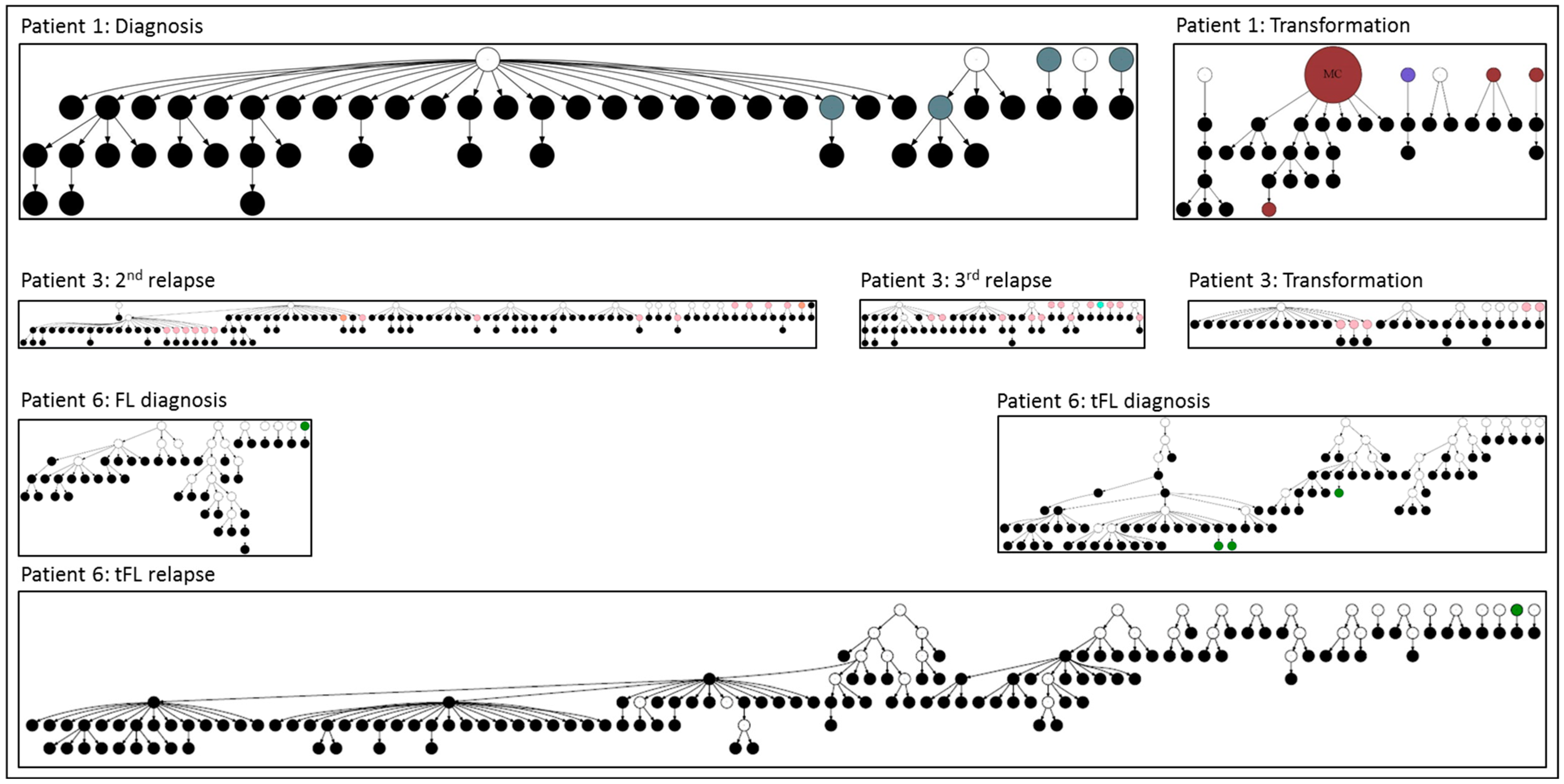 Cancers 17 01219 g002