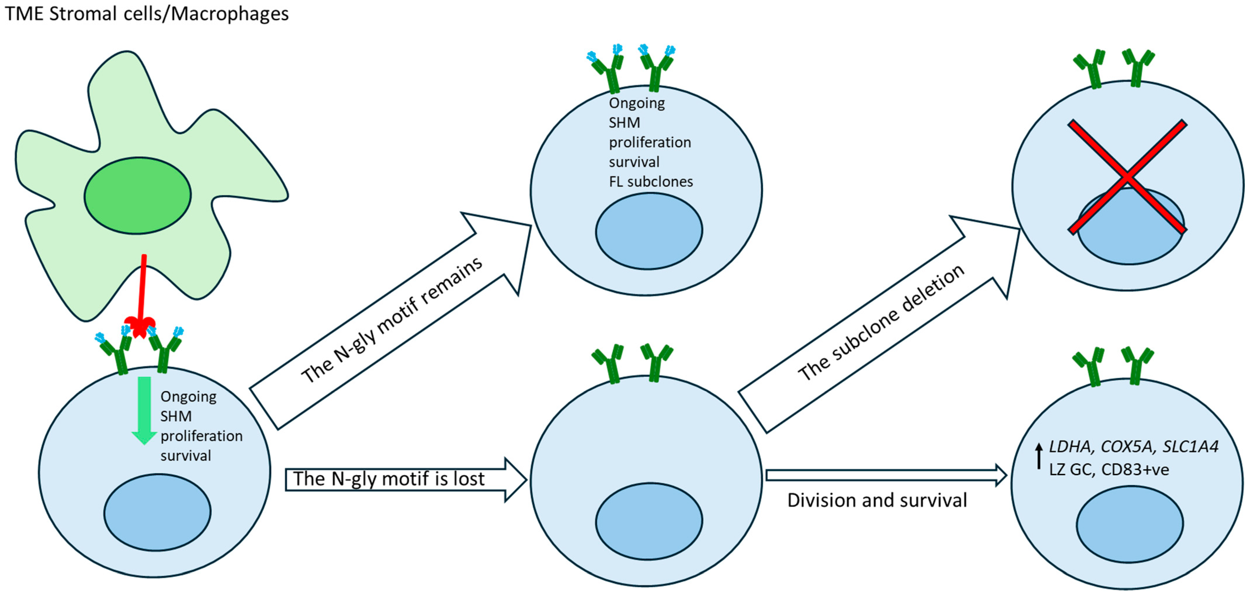 Cancers 17 01219 g003