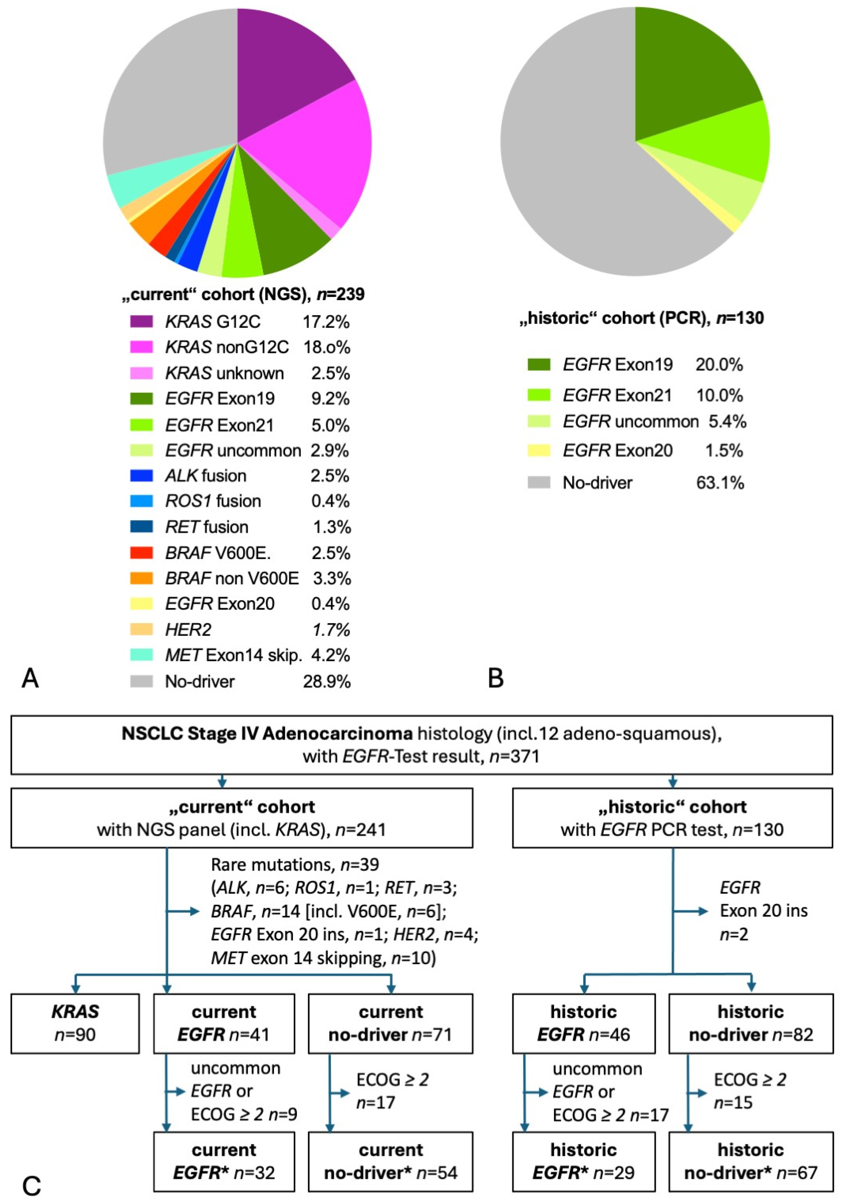 Cancers 17 01237 g001