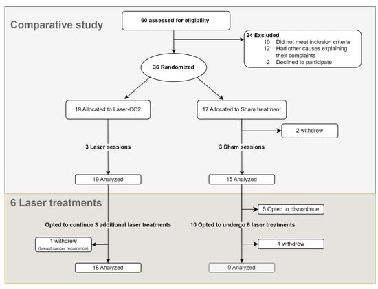 Cancers 17 01241 g001