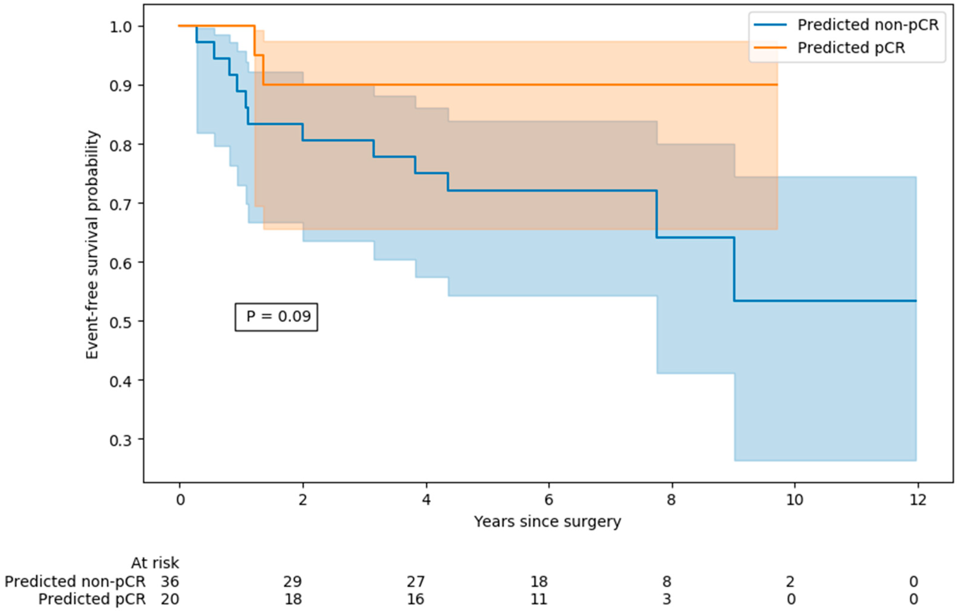Cancers 17 01249 g004 Cancers 17 01249 g004
