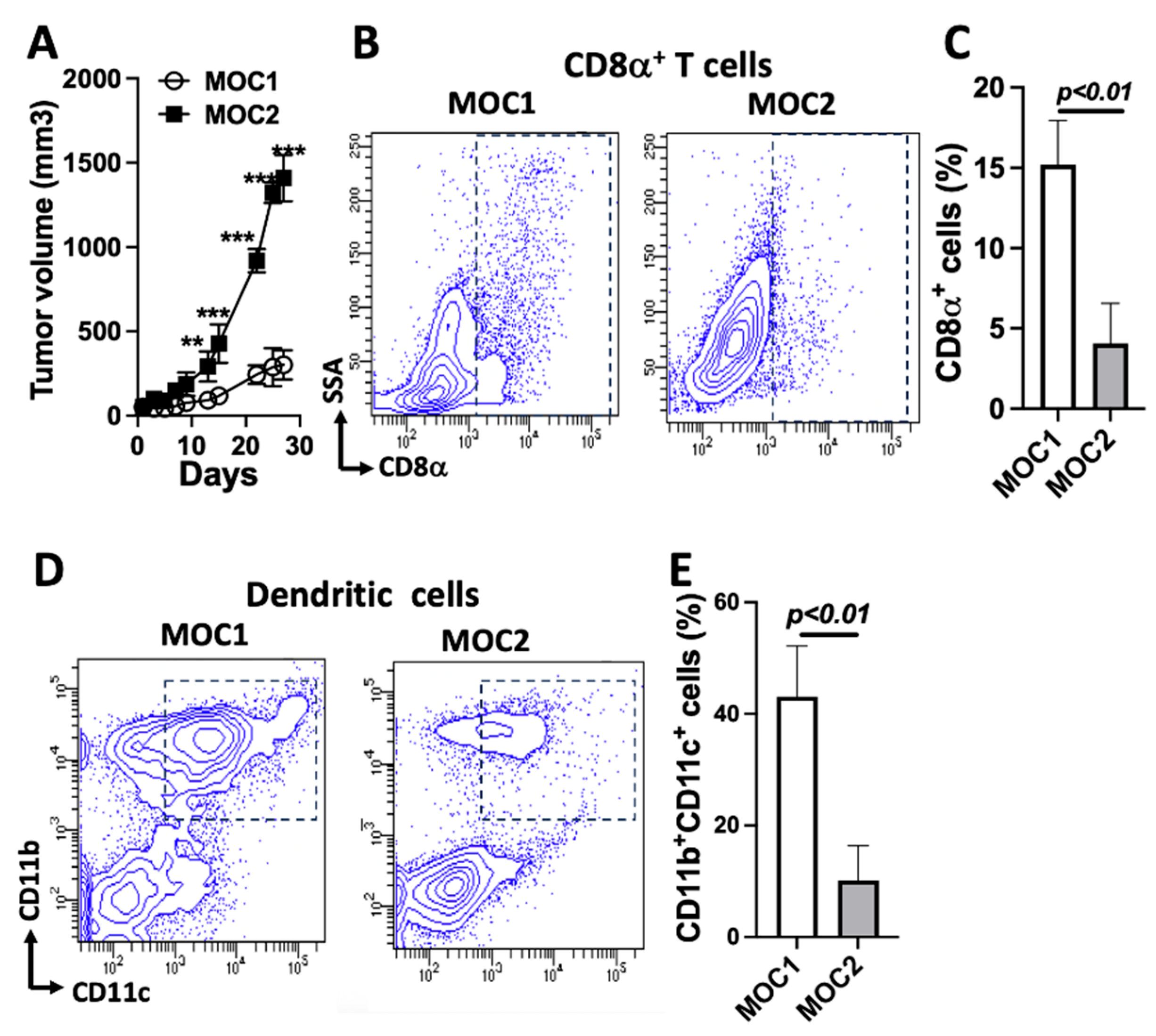 Cancers 17 01279 g001