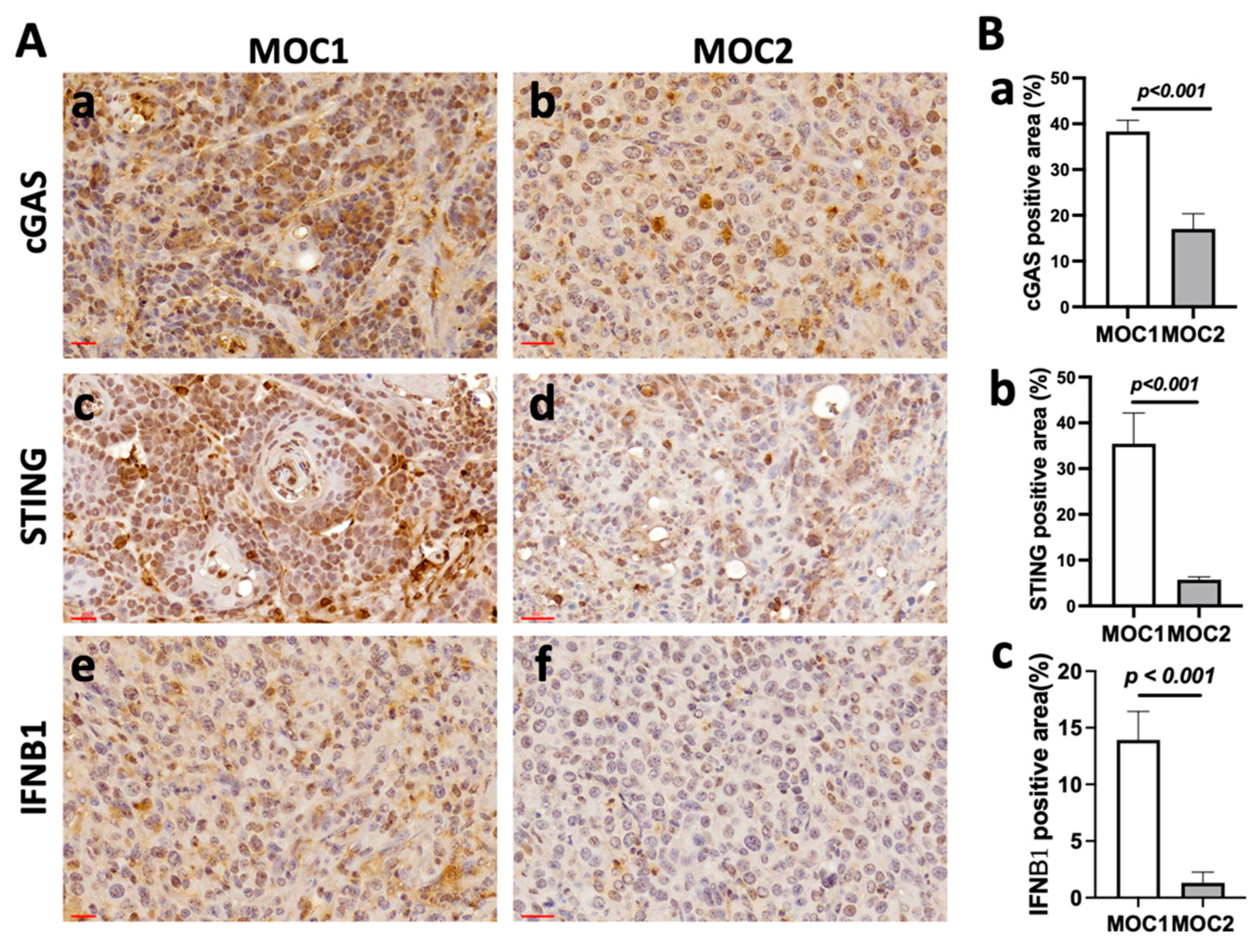 Cancers 17 01279 g002