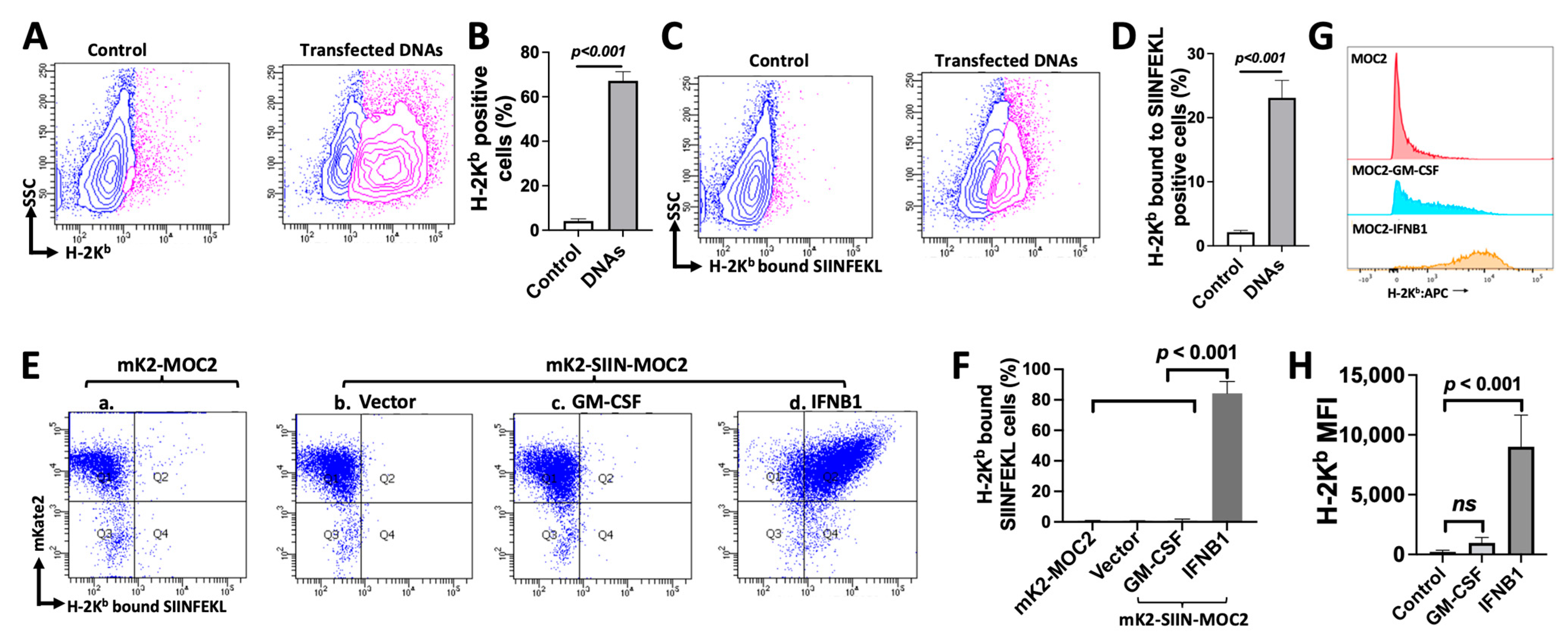 Cancers 17 01279 g004