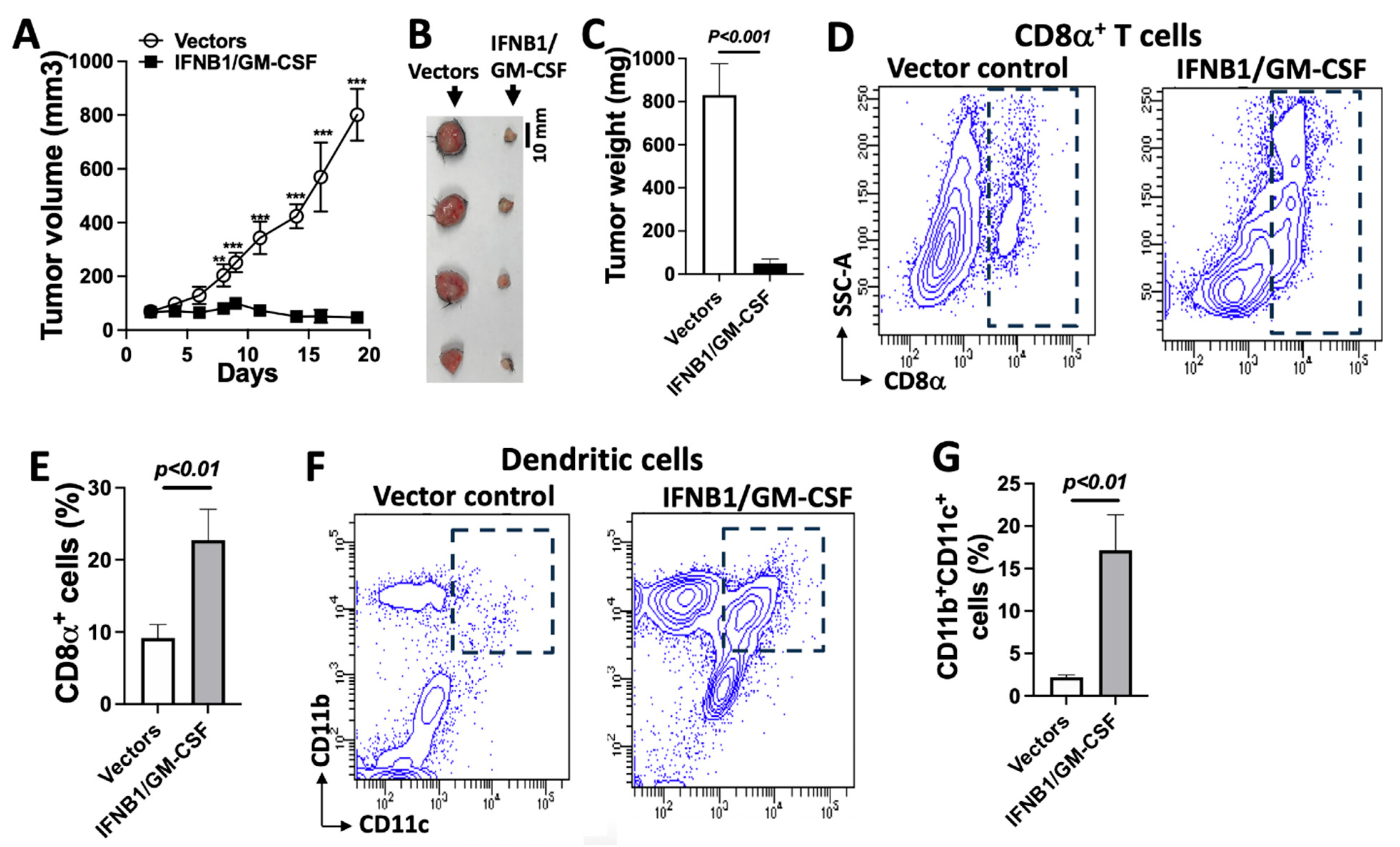 Cancers 17 01279 g007