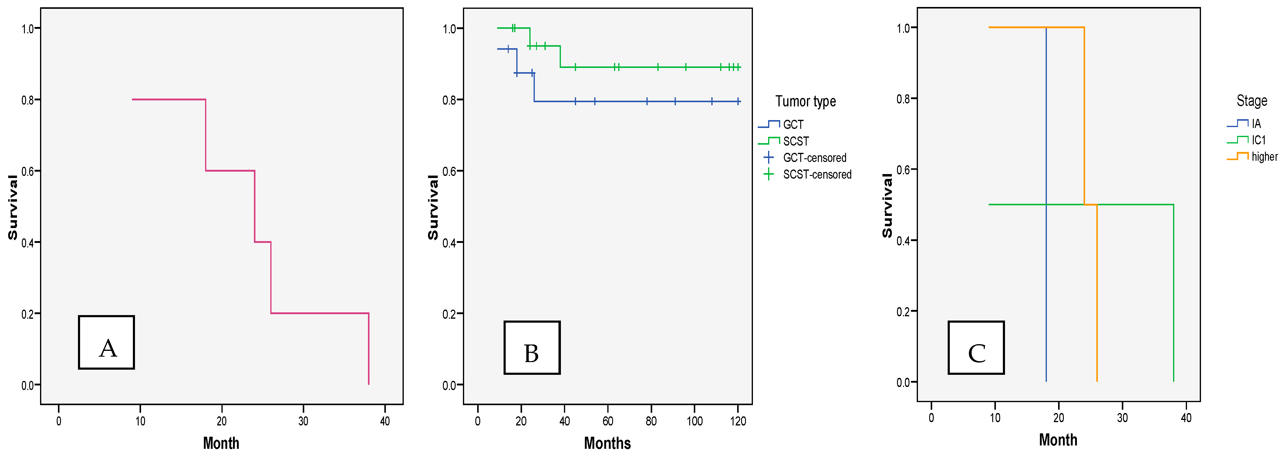 Cancers 17 01304 g002 Cancers 17 01304 g002