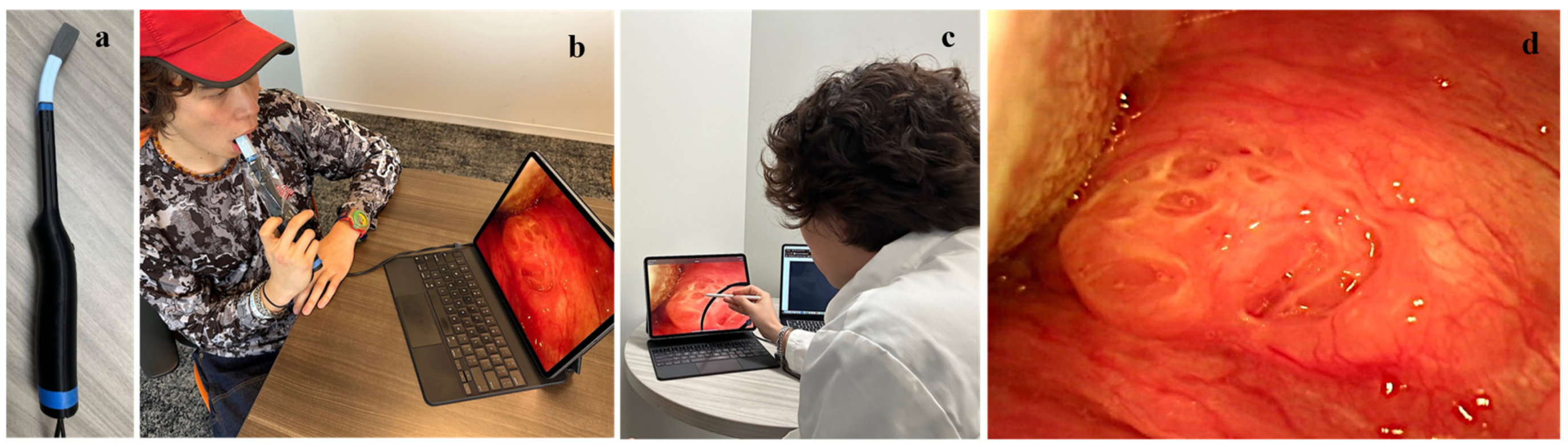 Cancers 17 01317 g001