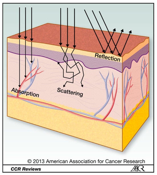 Cancers 17 01352 g0a2