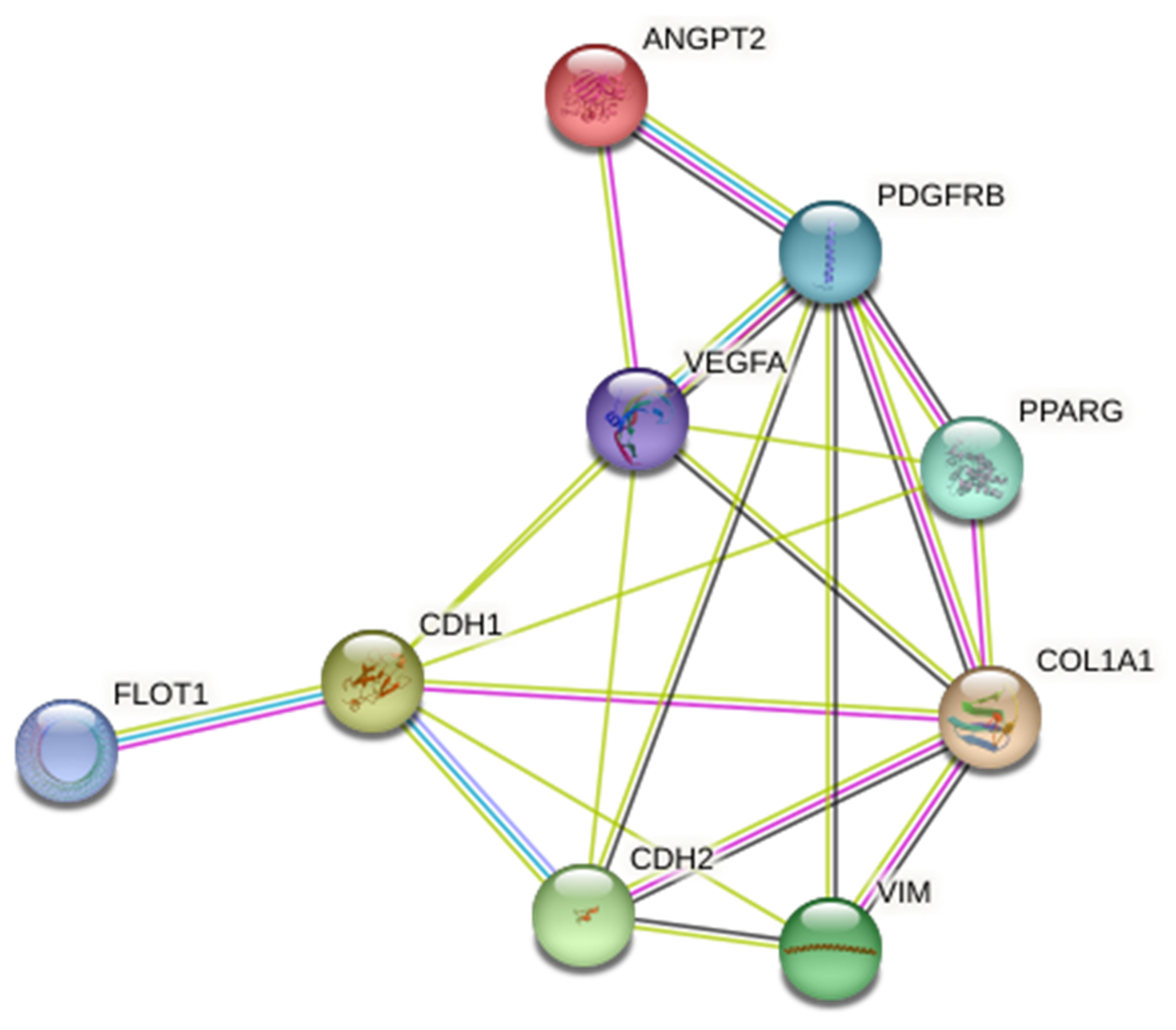 Cancers 17 01360 g001