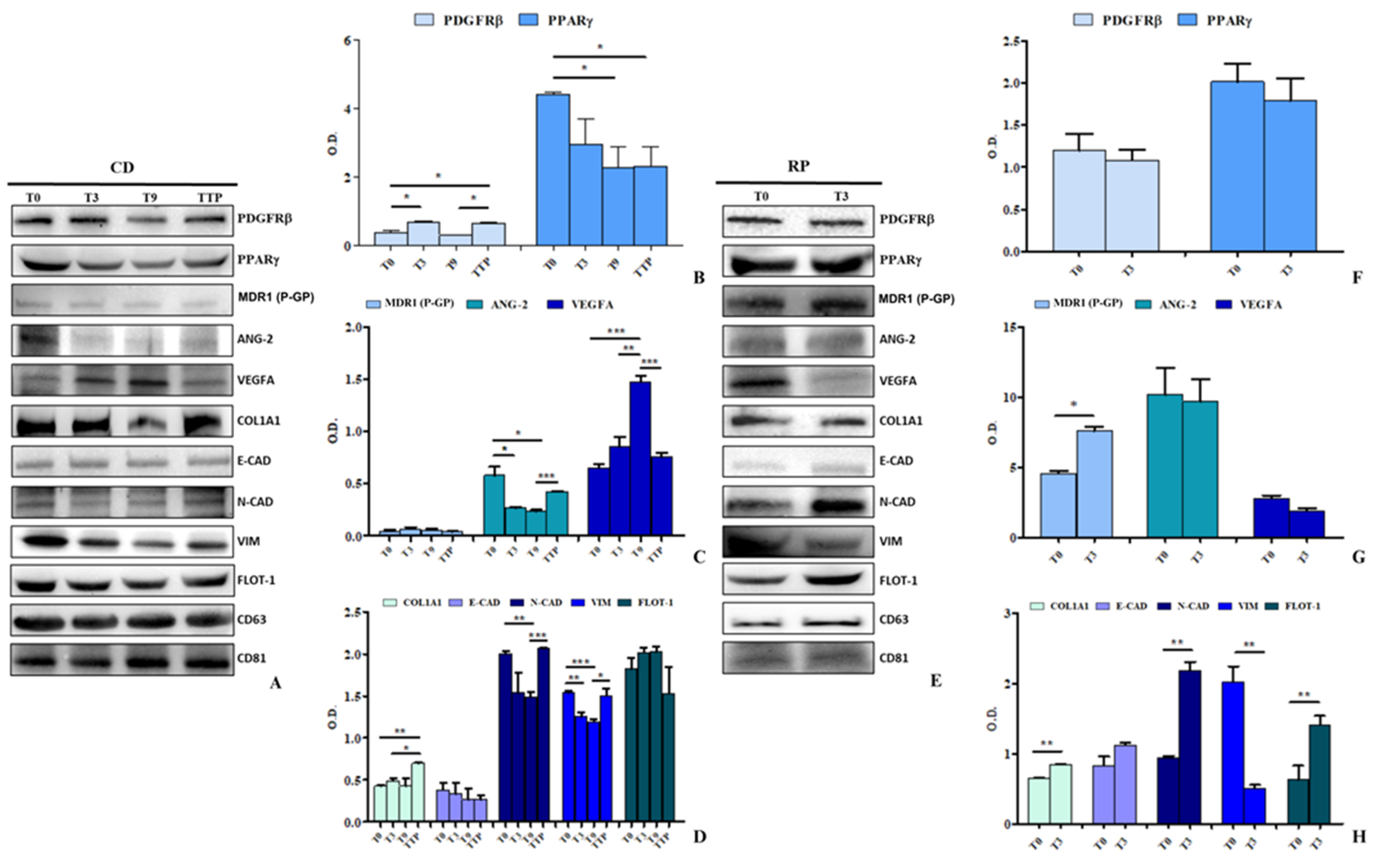 Cancers 17 01360 g003