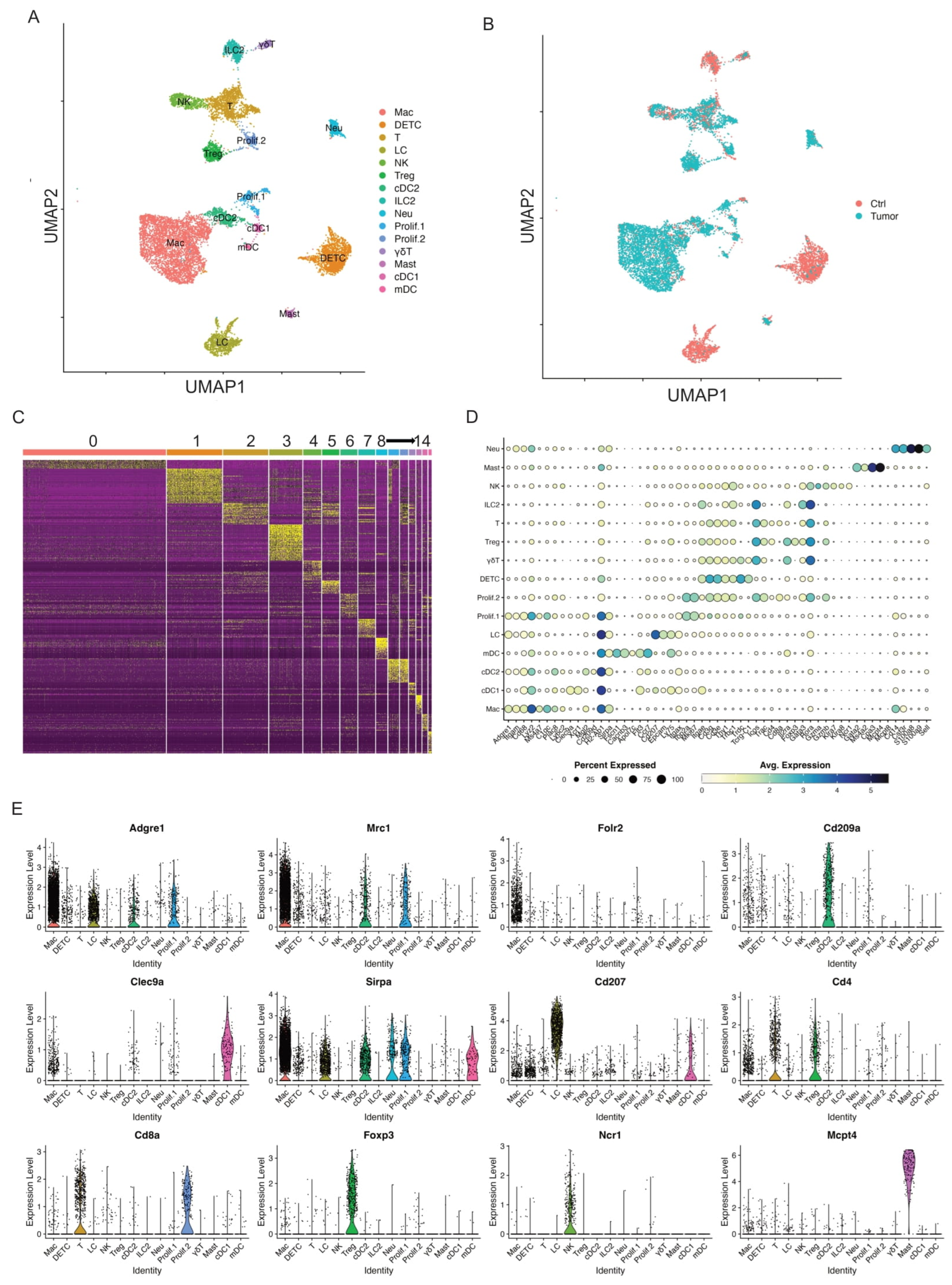 Cancers 17 01379 g001