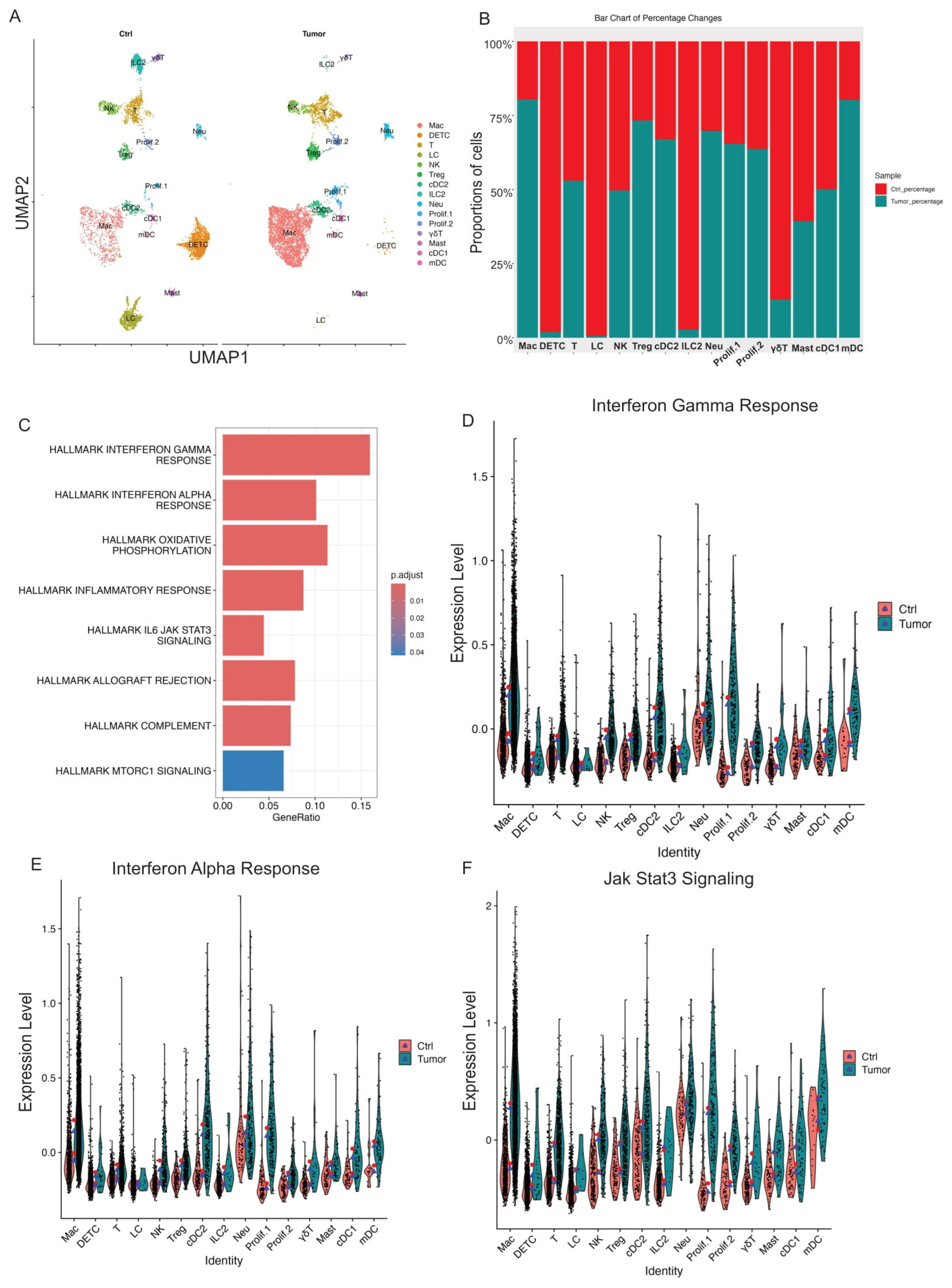 Cancers 17 01379 g002