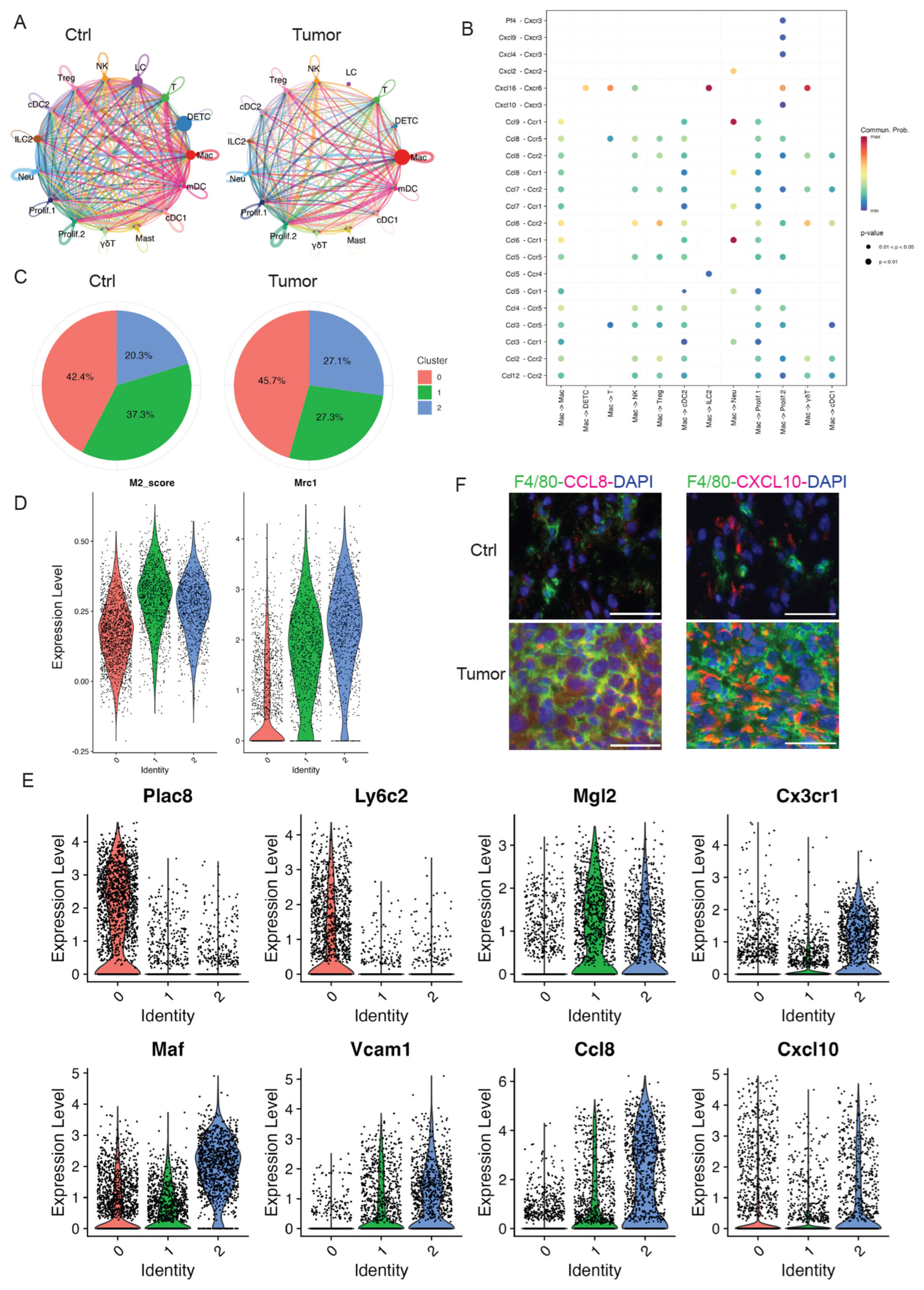 Cancers 17 01379 g003