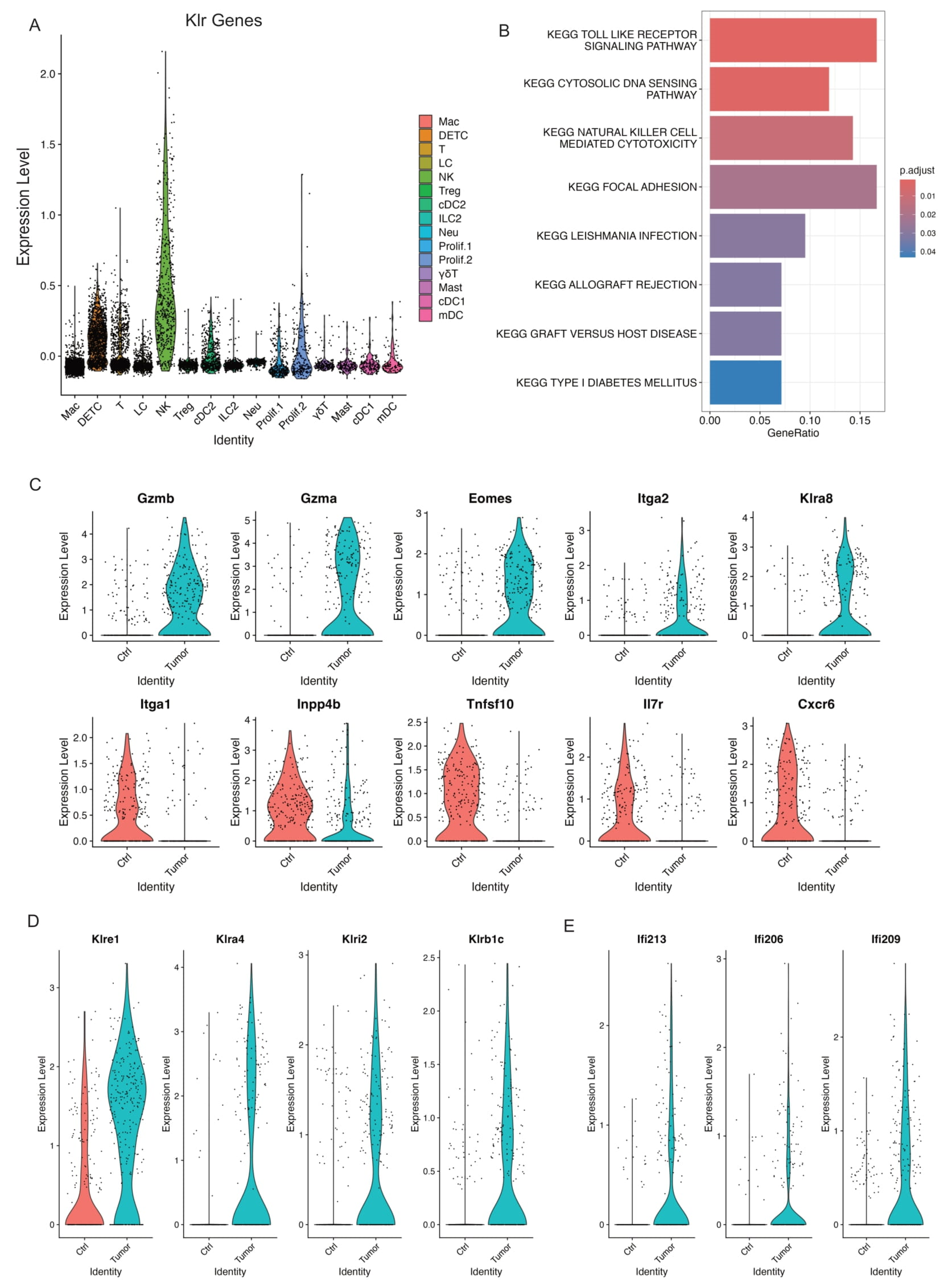 Cancers 17 01379 g005