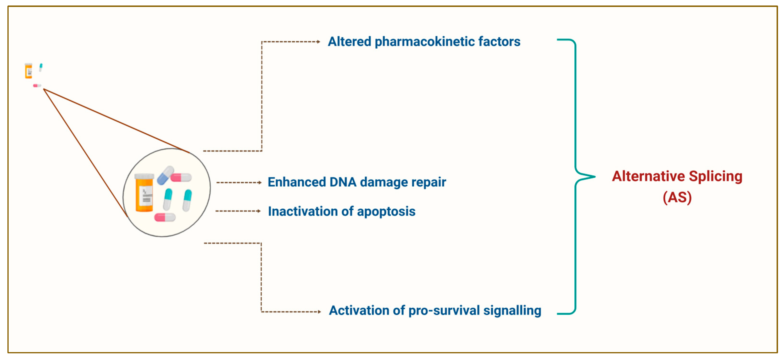 Cancers 17 01381 g001