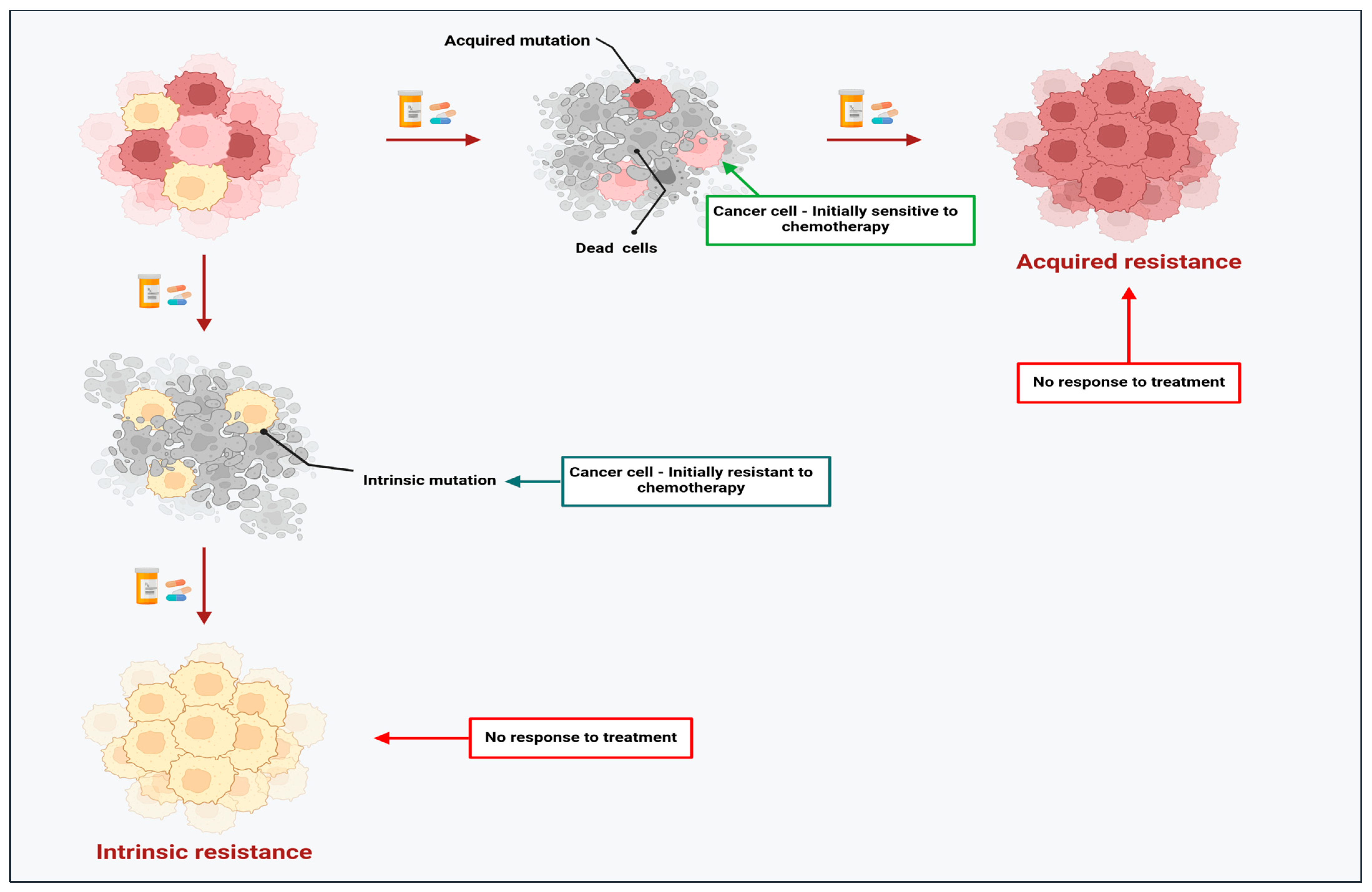 Cancers 17 01381 g002