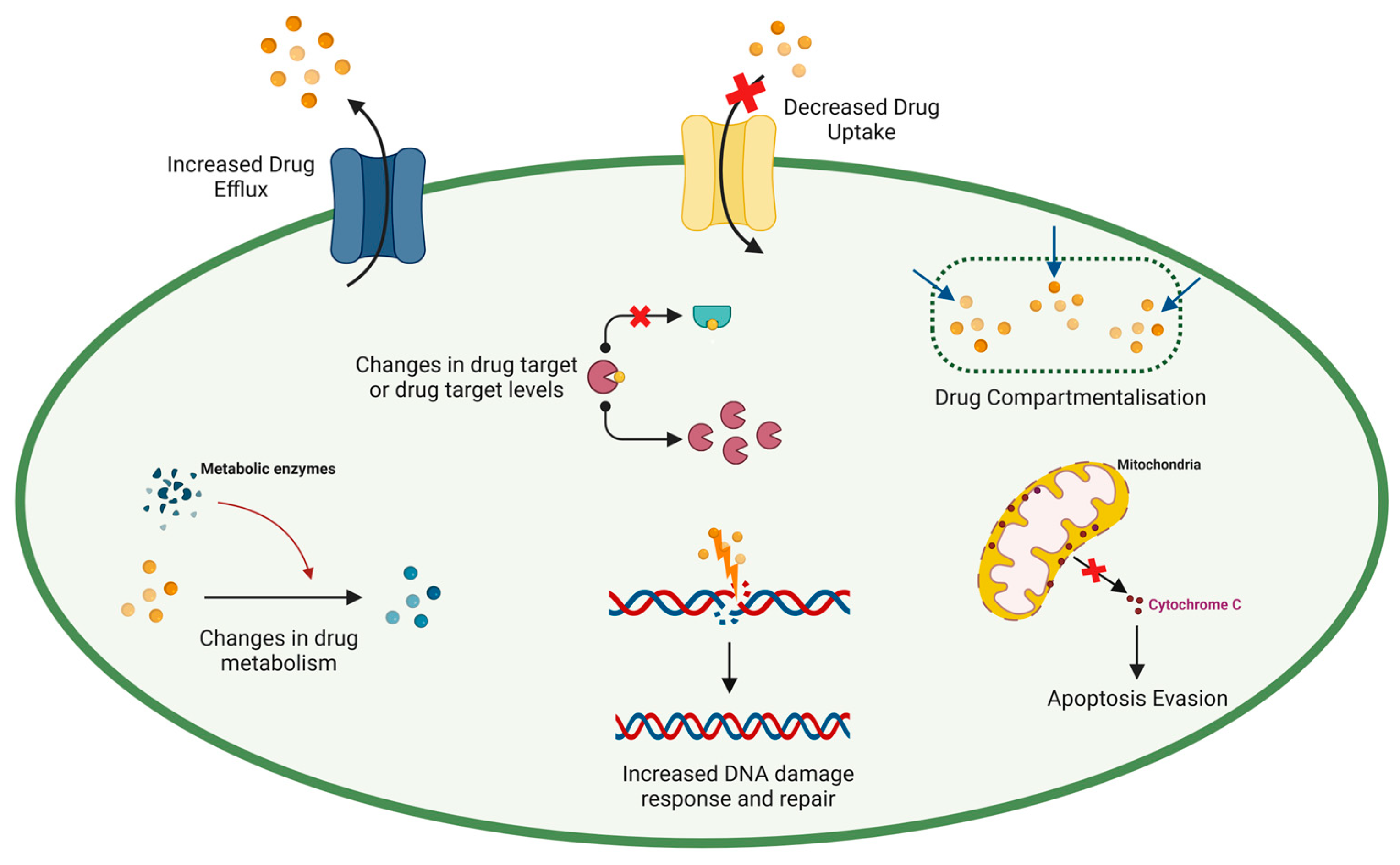 Cancers 17 01381 g003